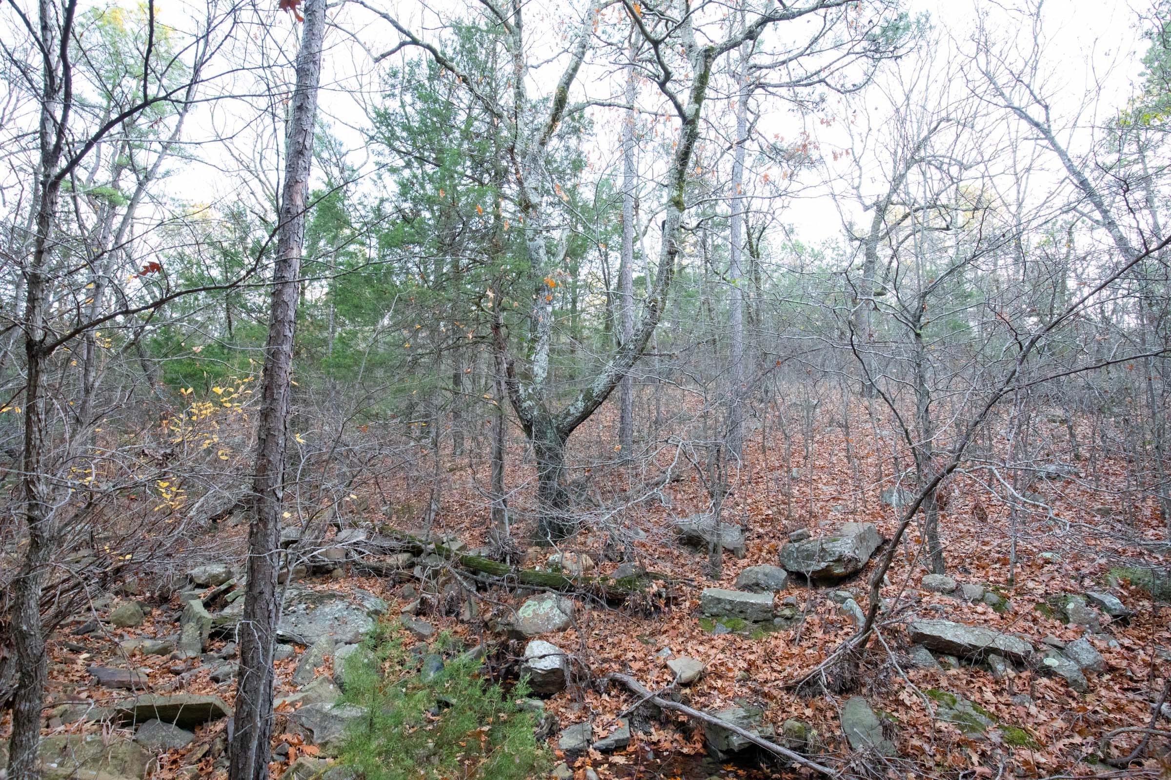 Stone Bridge Phase II Tract 116 photo 12