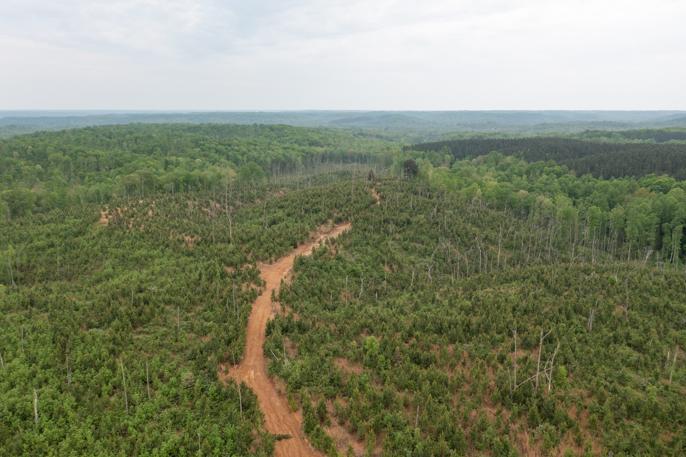 Red Barn Ranch Tract 34 photo 15