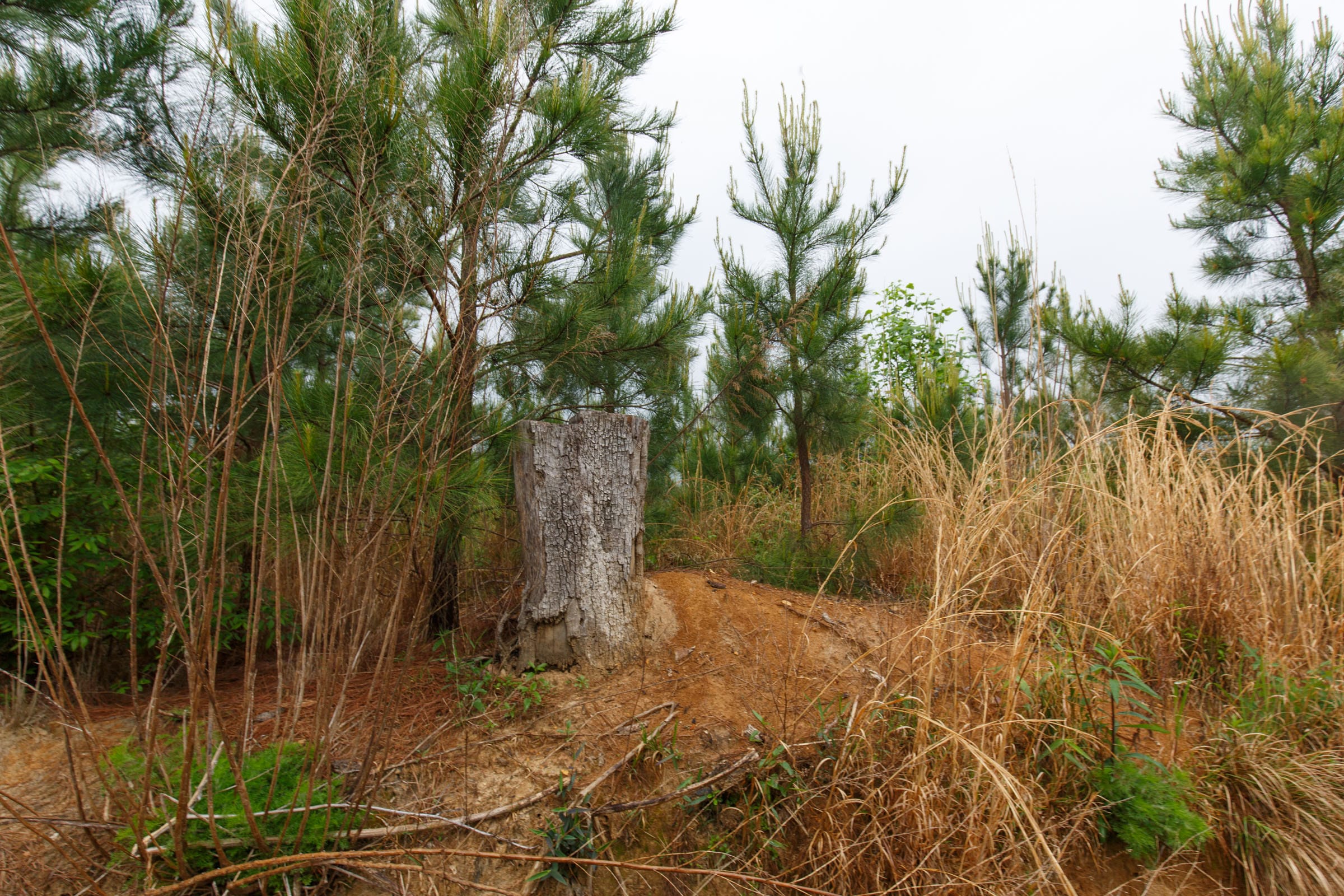 Red Barn Ranch Tract 34 photo 4
