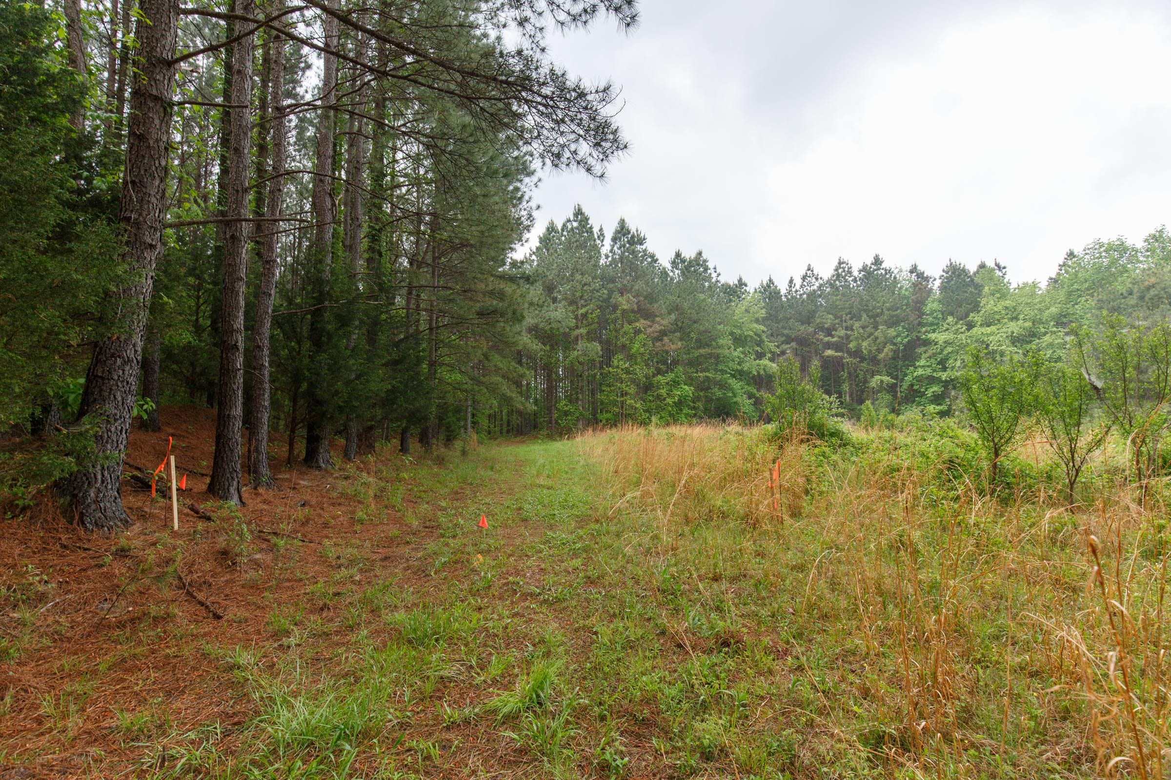 Red Barn Ranch Tract 34 photo 10