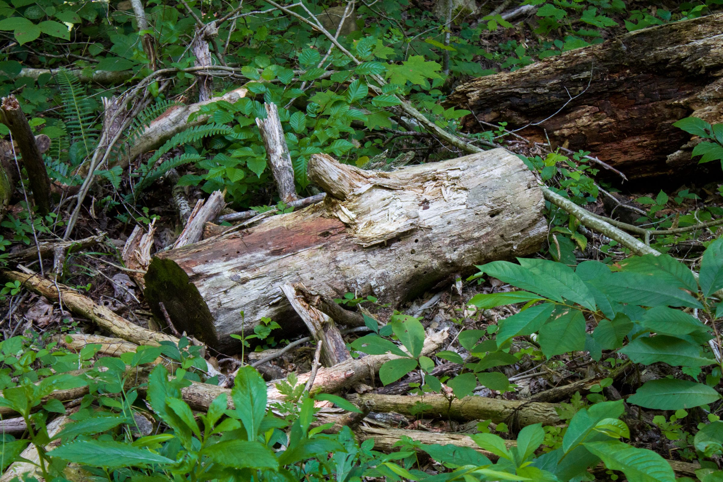 Bluewater Ridge Tract 9 photo 1