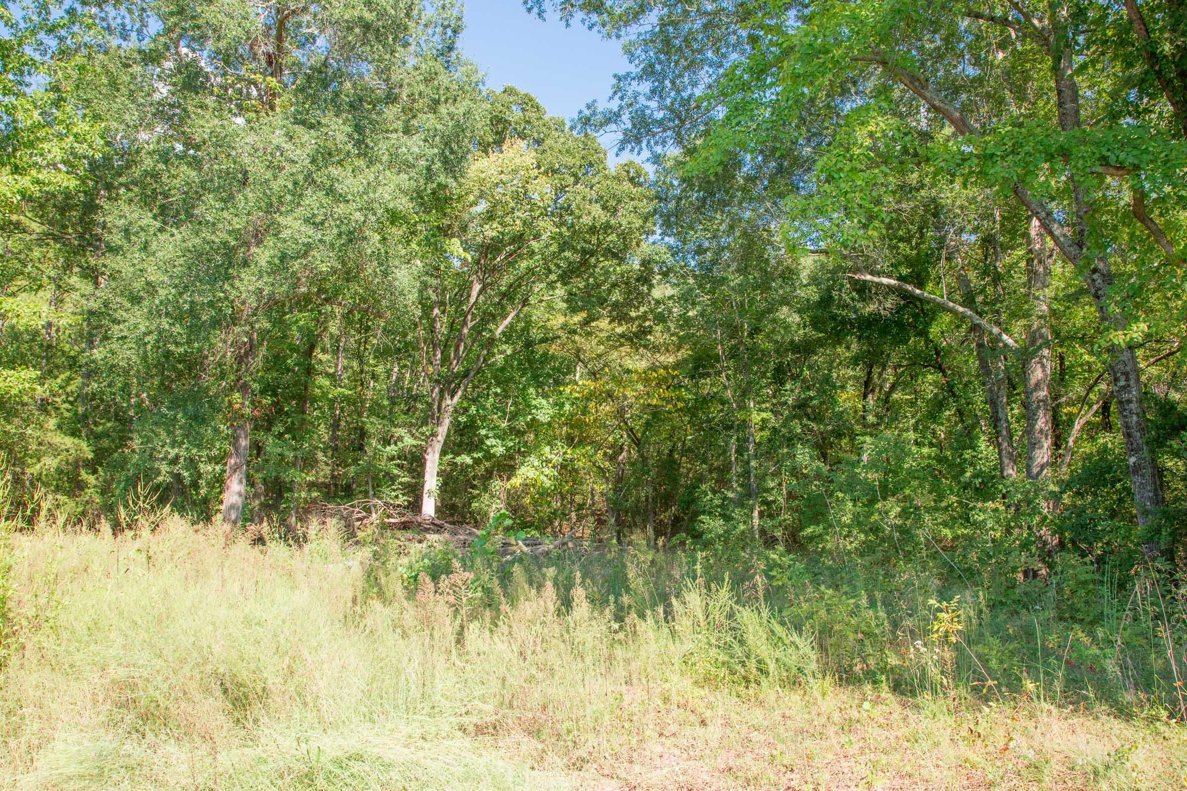 Stone Creek Phase II Tract 262 photo 3