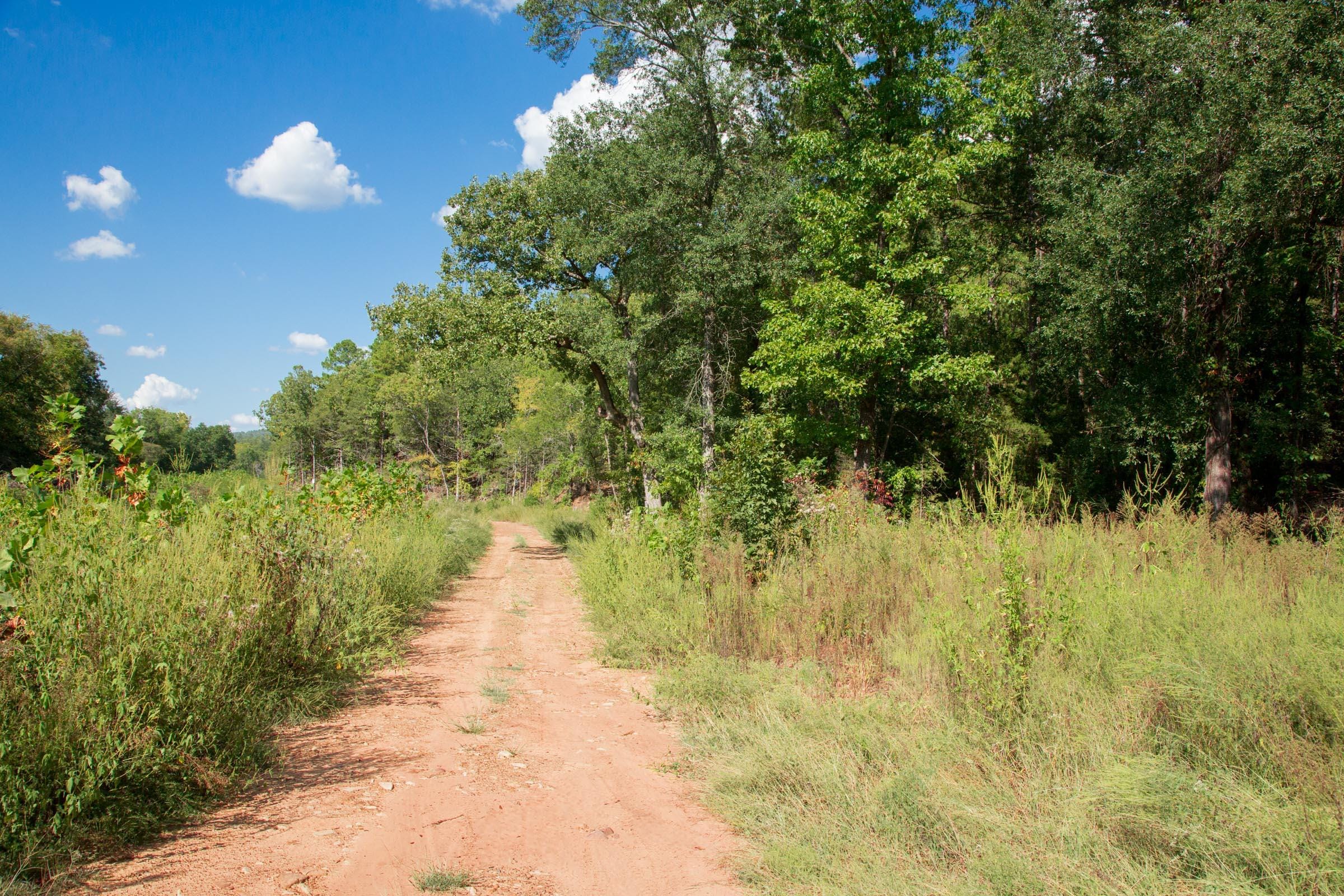 Stone Creek Phase II Tract 262 photo 4