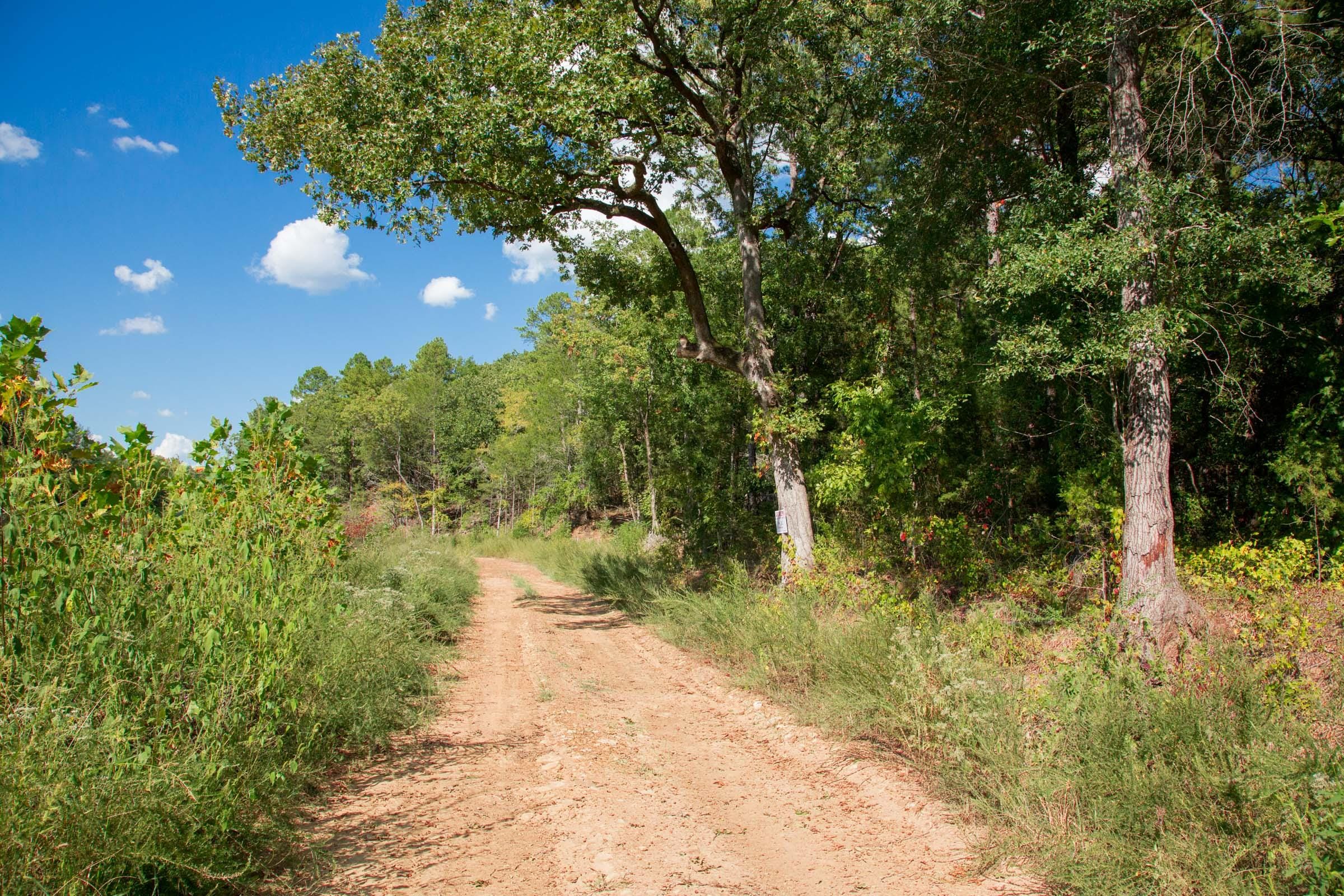 Stone Creek Phase II Tract 262 photo 6