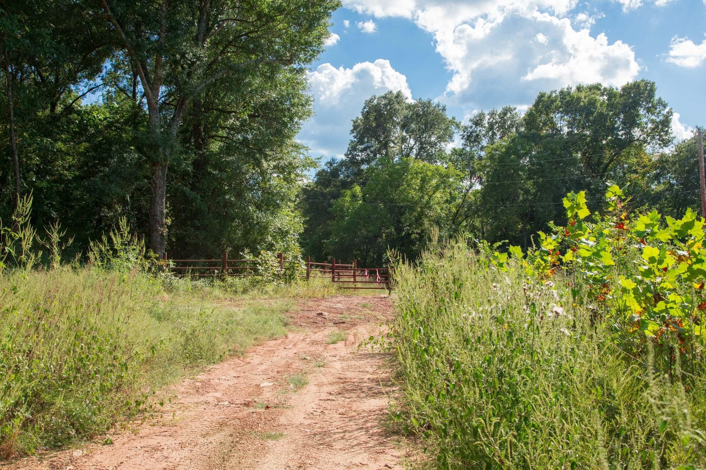 Stone Creek Phase II Tract 262 photo 8