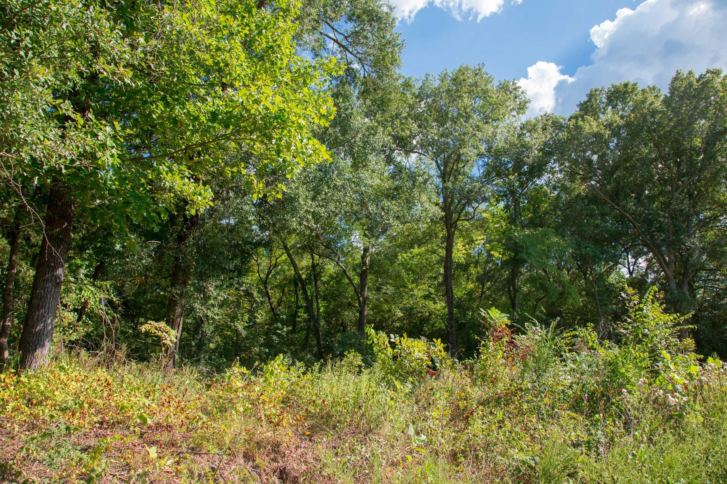 Stone Creek Phase II Tract 262 photo 5