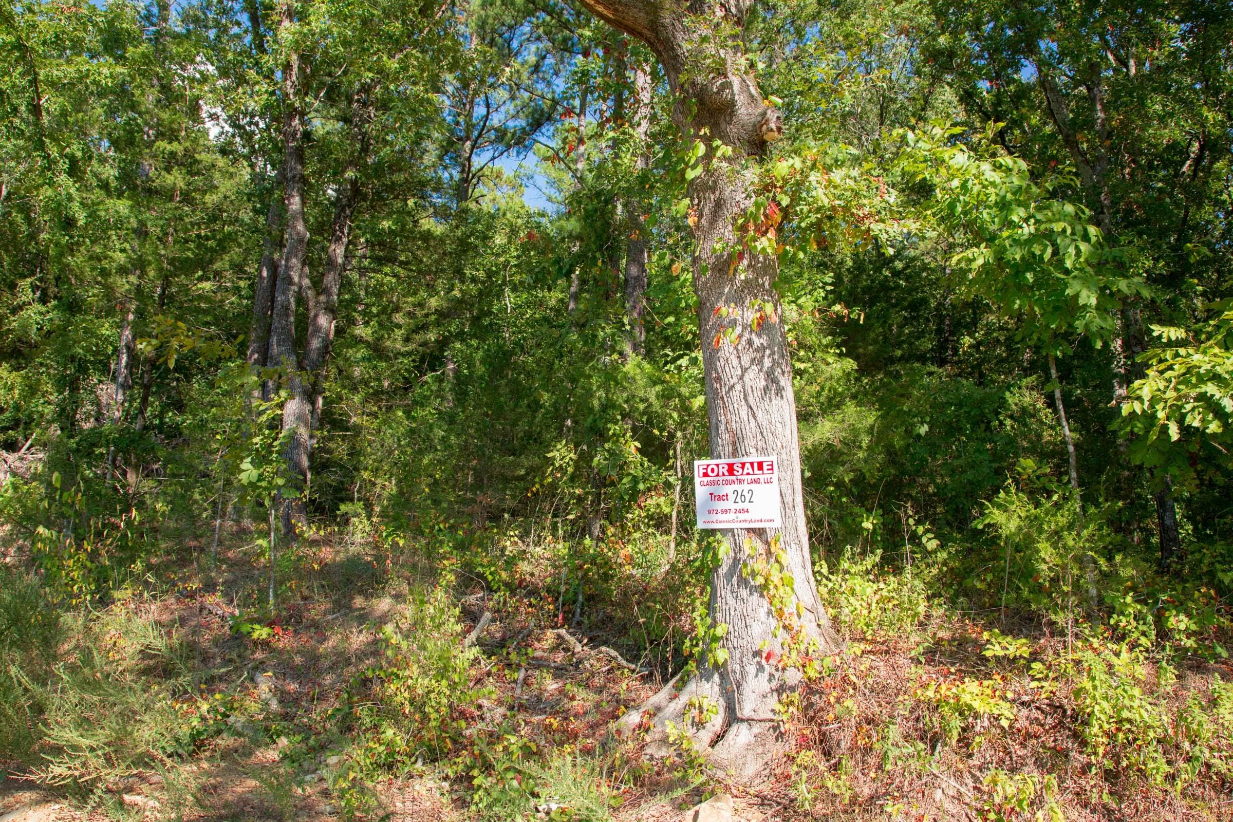 Stone Creek Phase II Tract 262 photo 1