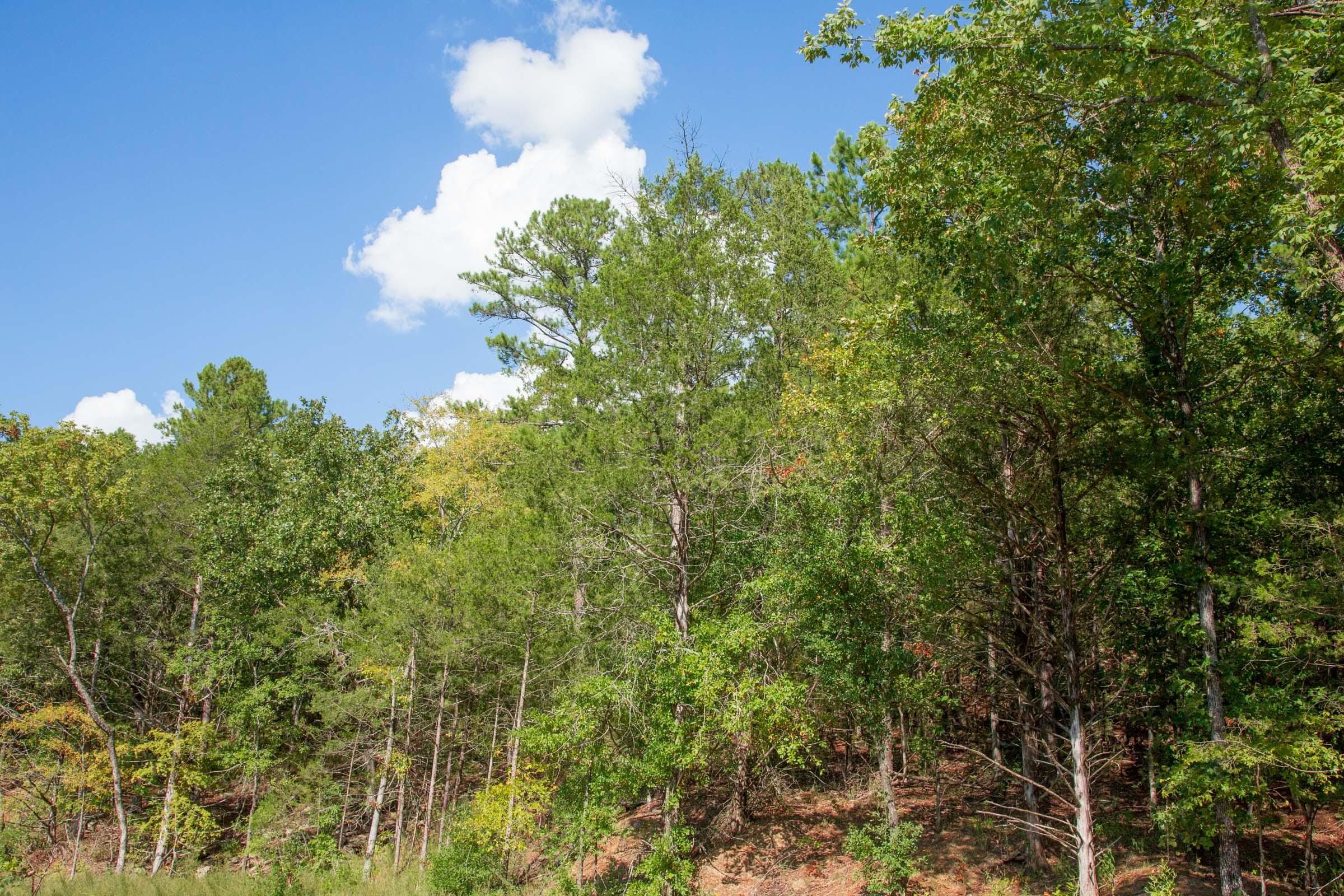 Stone Creek Phase II Tract 262 photo 7