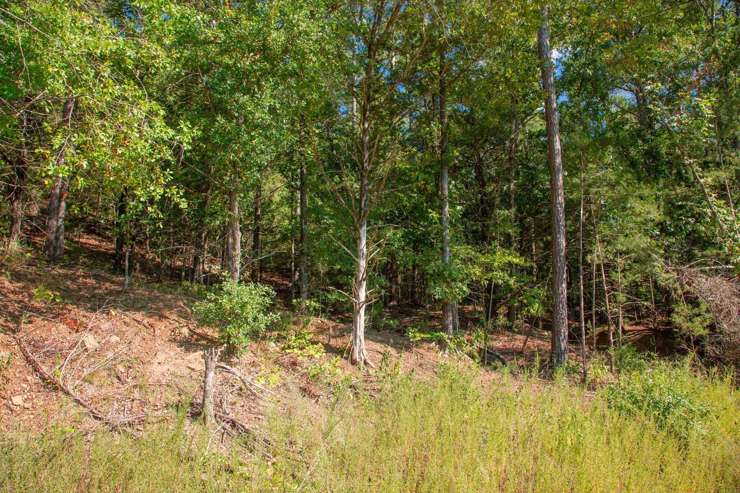 Stone Creek Phase II Tract 262 photo 9