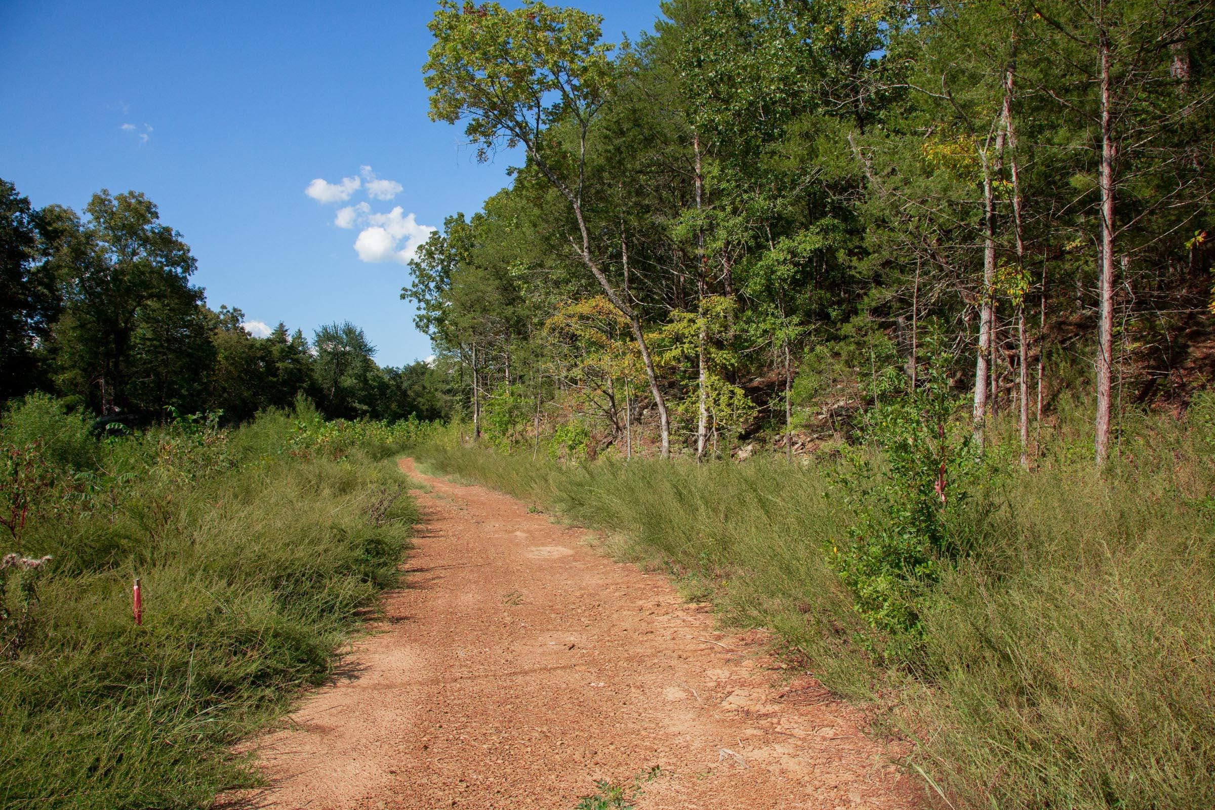 Stone Creek Phase II Tract 262 photo 10