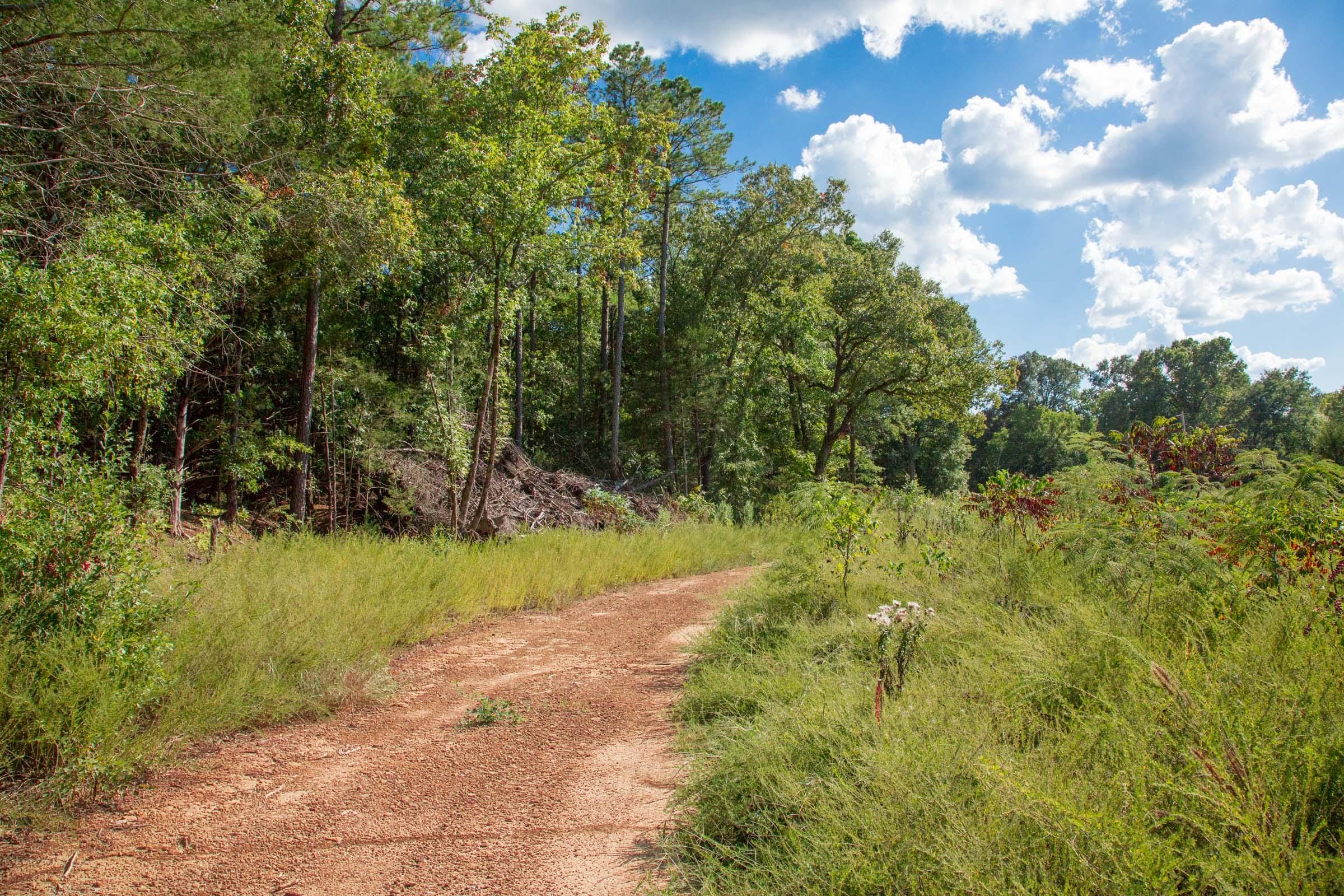 Stone Creek Phase II Tract 262 photo 12