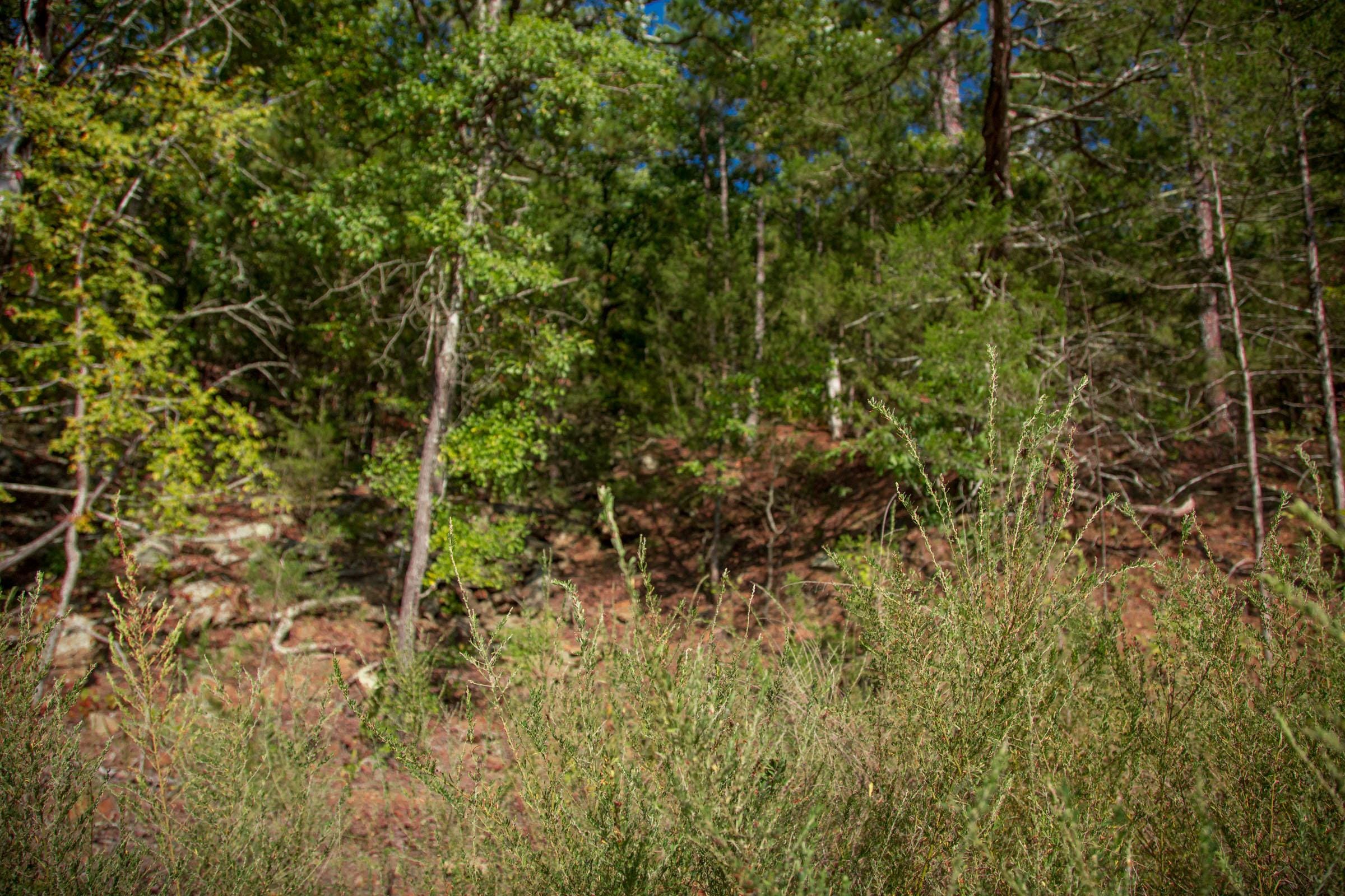 Stone Creek Phase II Tract 262 photo 13