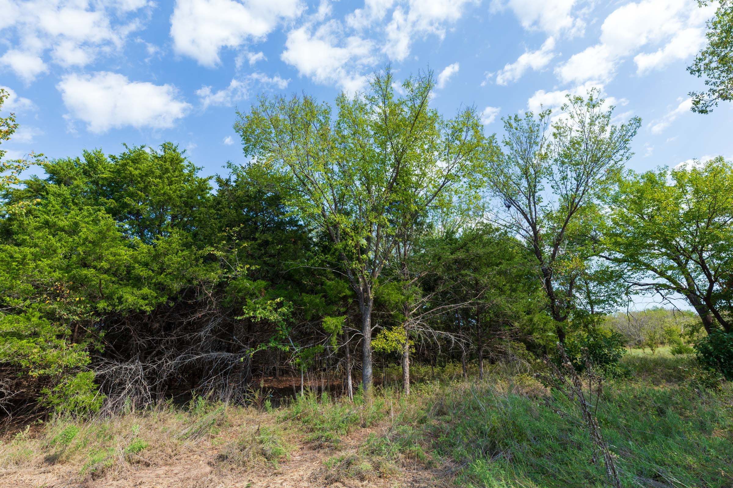Canyon Creek Tract 6 photo 5