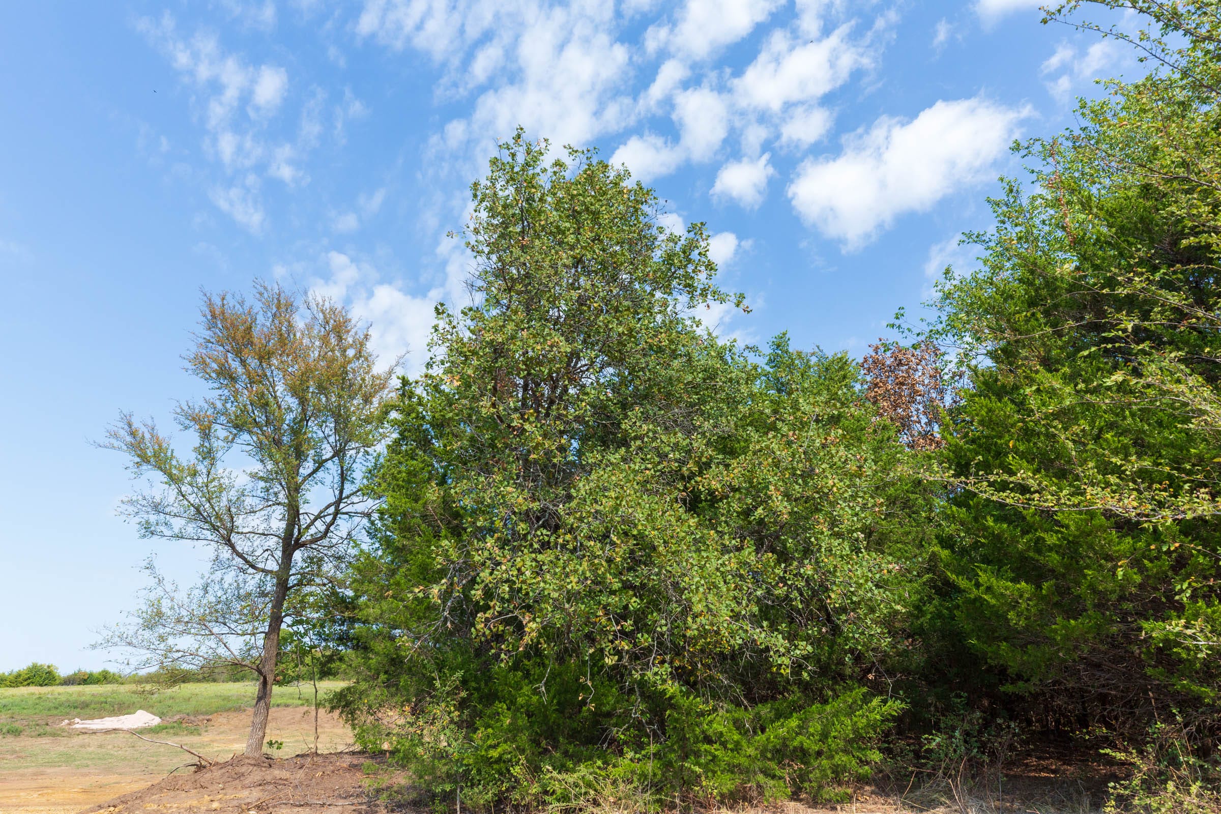 Canyon Creek Tract 6 photo 13