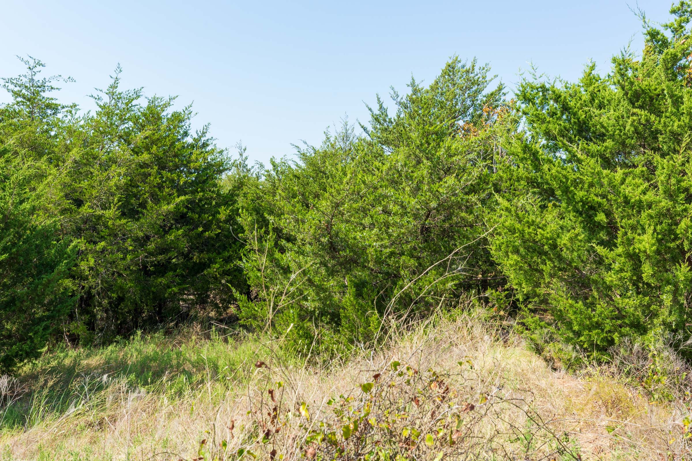 Canyon Creek Tract 6 photo 14