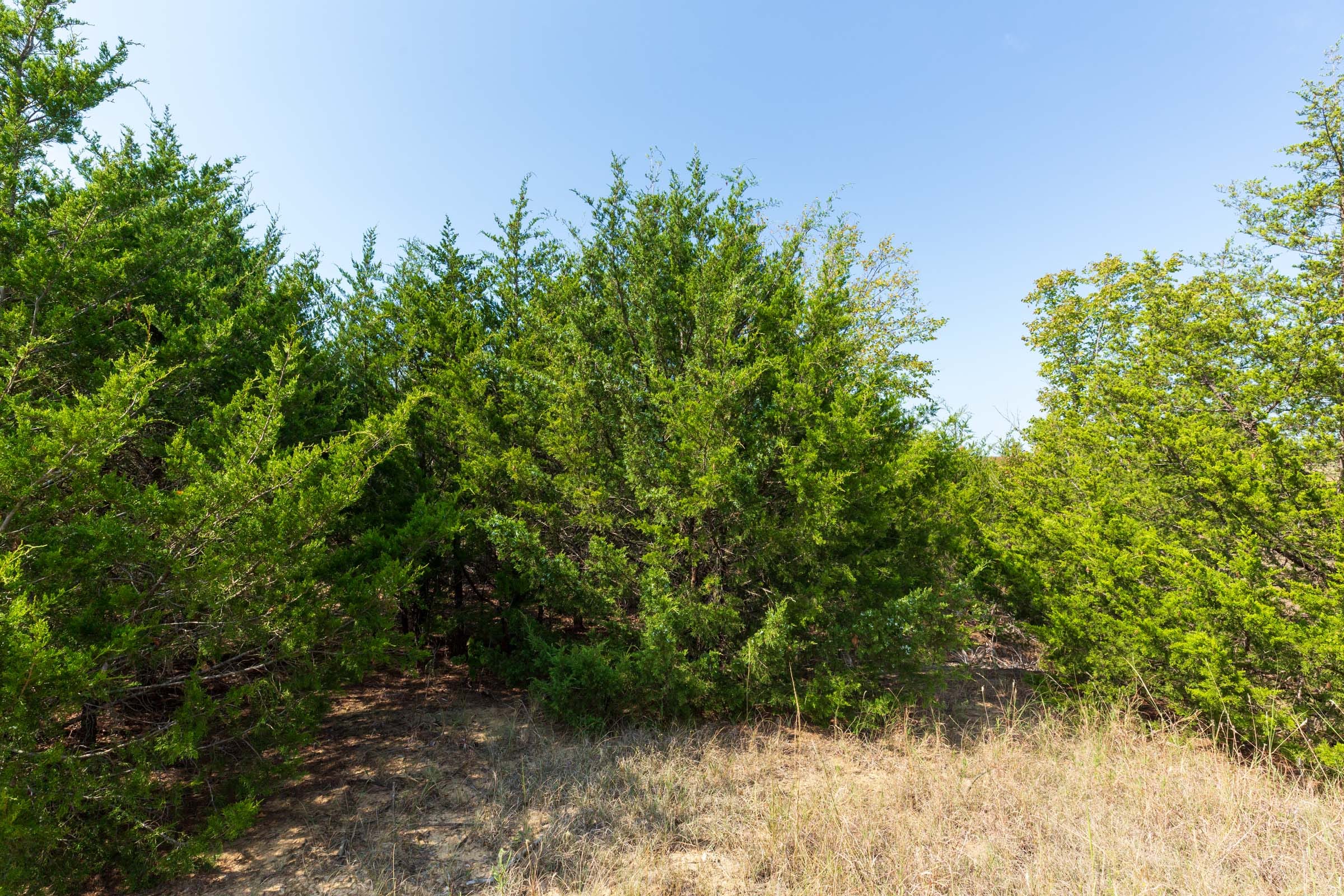 Canyon Creek Tract 6 photo 16