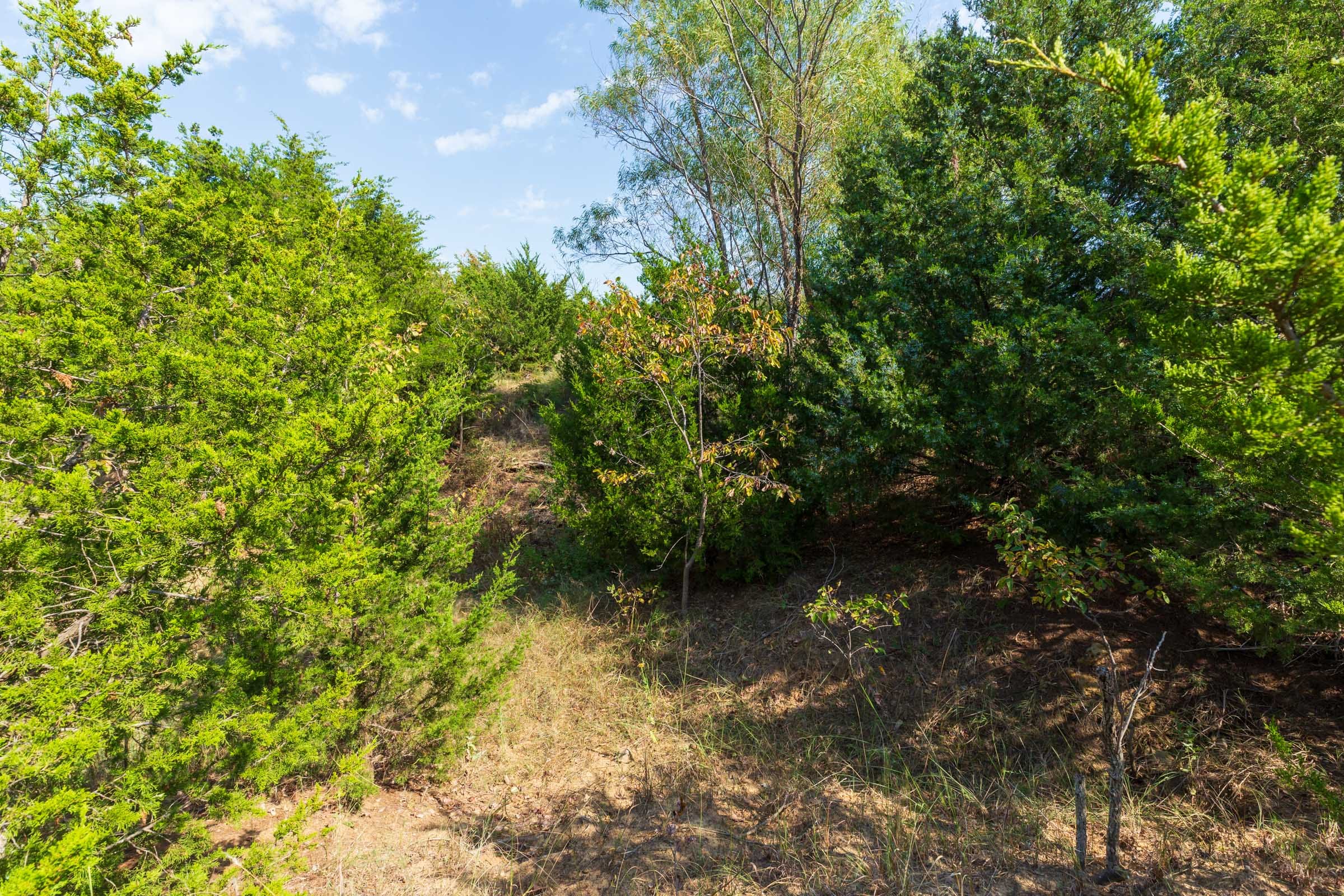 Canyon Creek Tract 6 photo 15