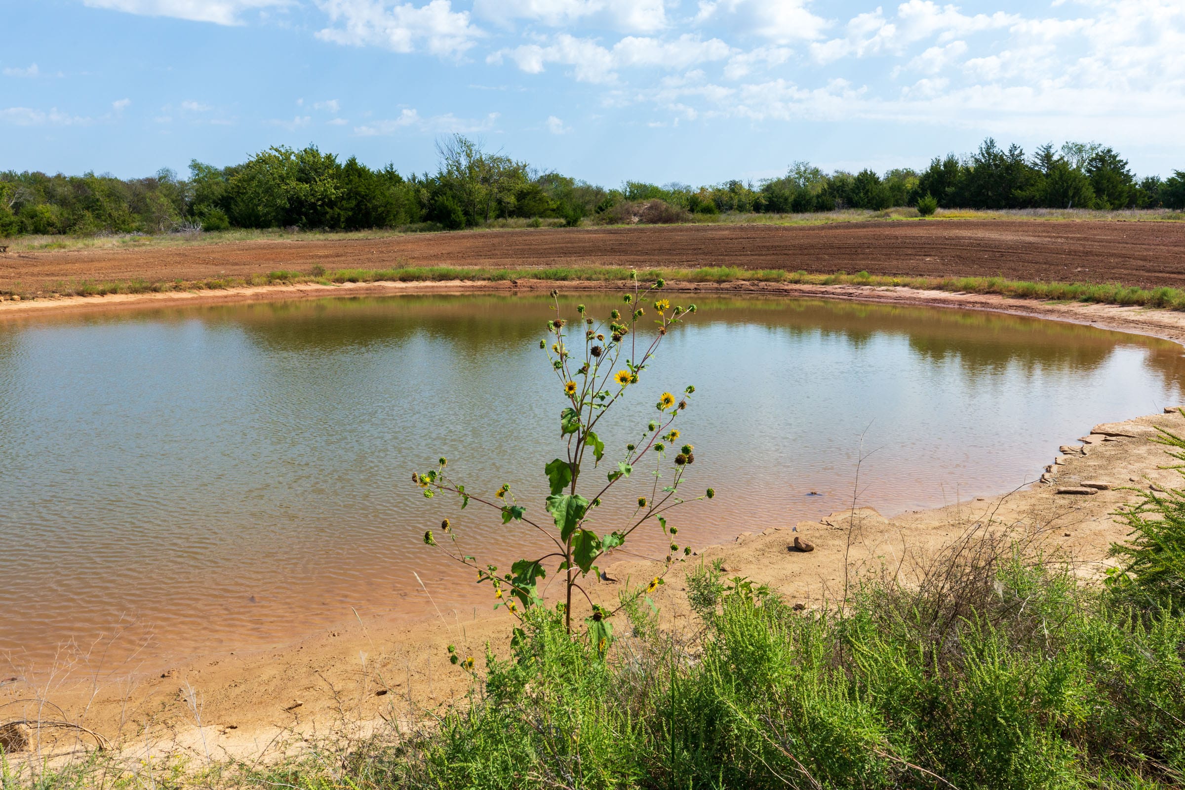 Canyon Creek Tract 6 photo 6