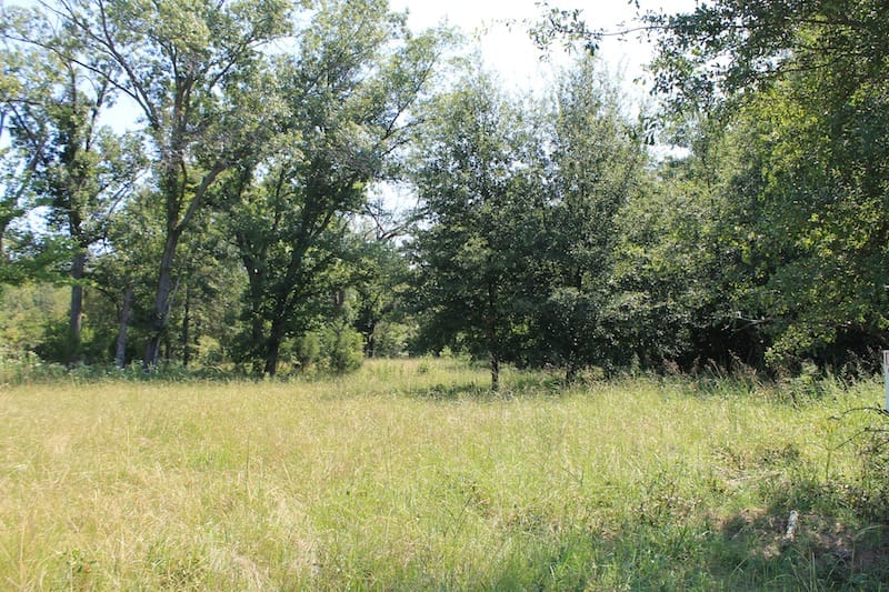 Daisy Meadows Tract 35 photo 3