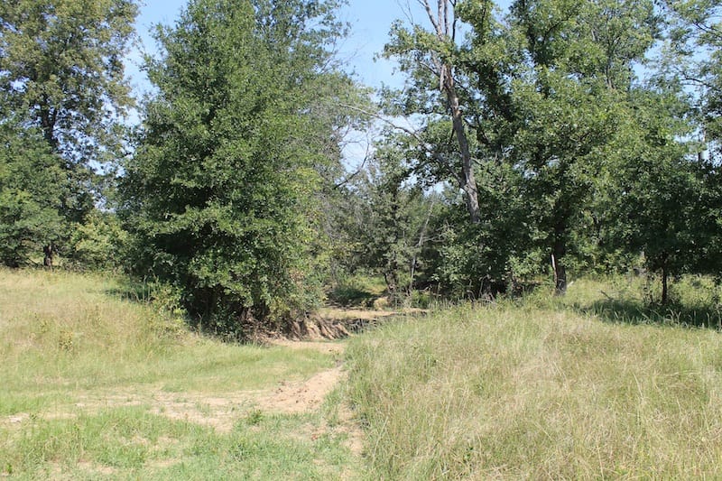 Daisy Meadows Tract 35 photo 4