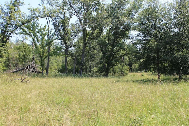 Daisy Meadows Tract 35 photo 6