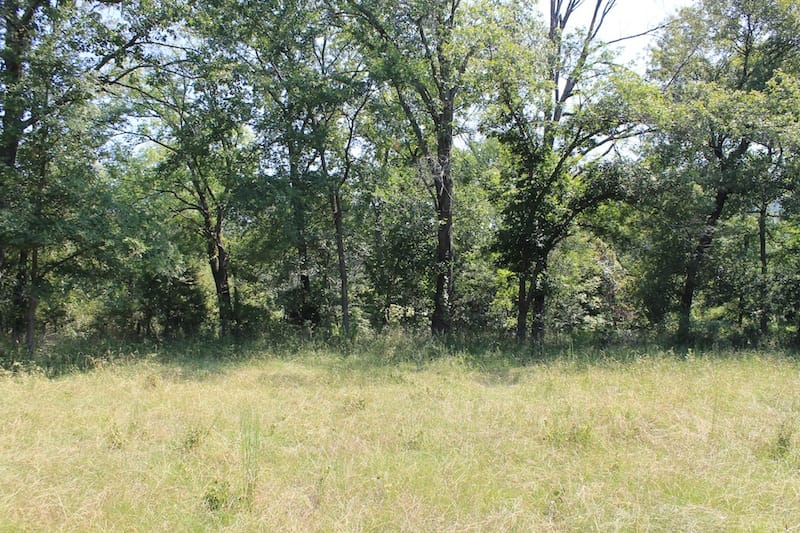 Daisy Meadows Tract 35 photo 8