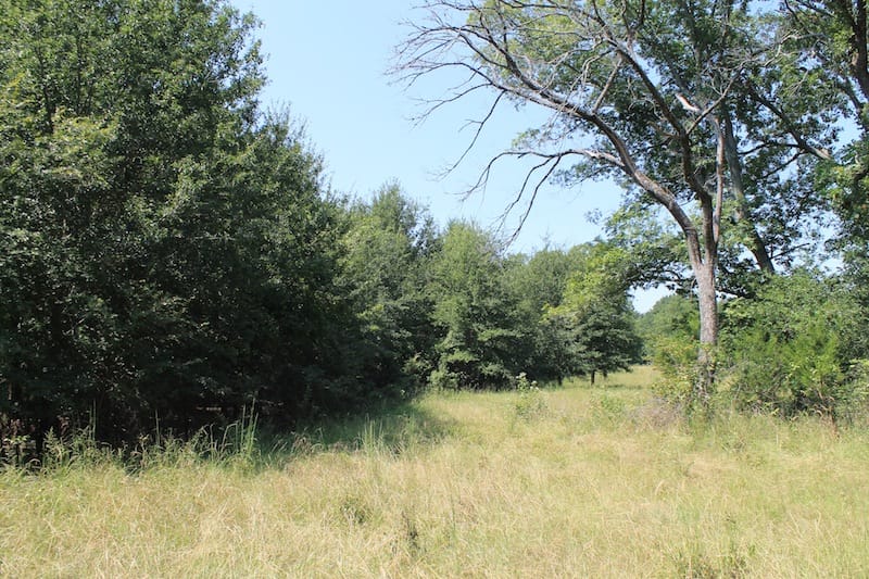 Daisy Meadows Tract 35 photo 10