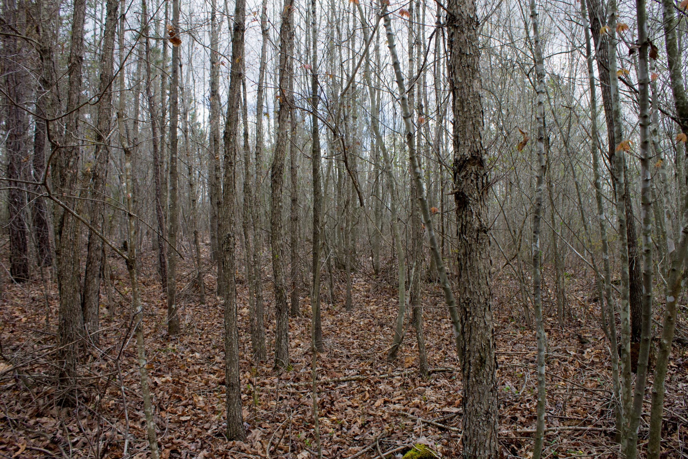 Hidden Hills Tract 13 photo 2