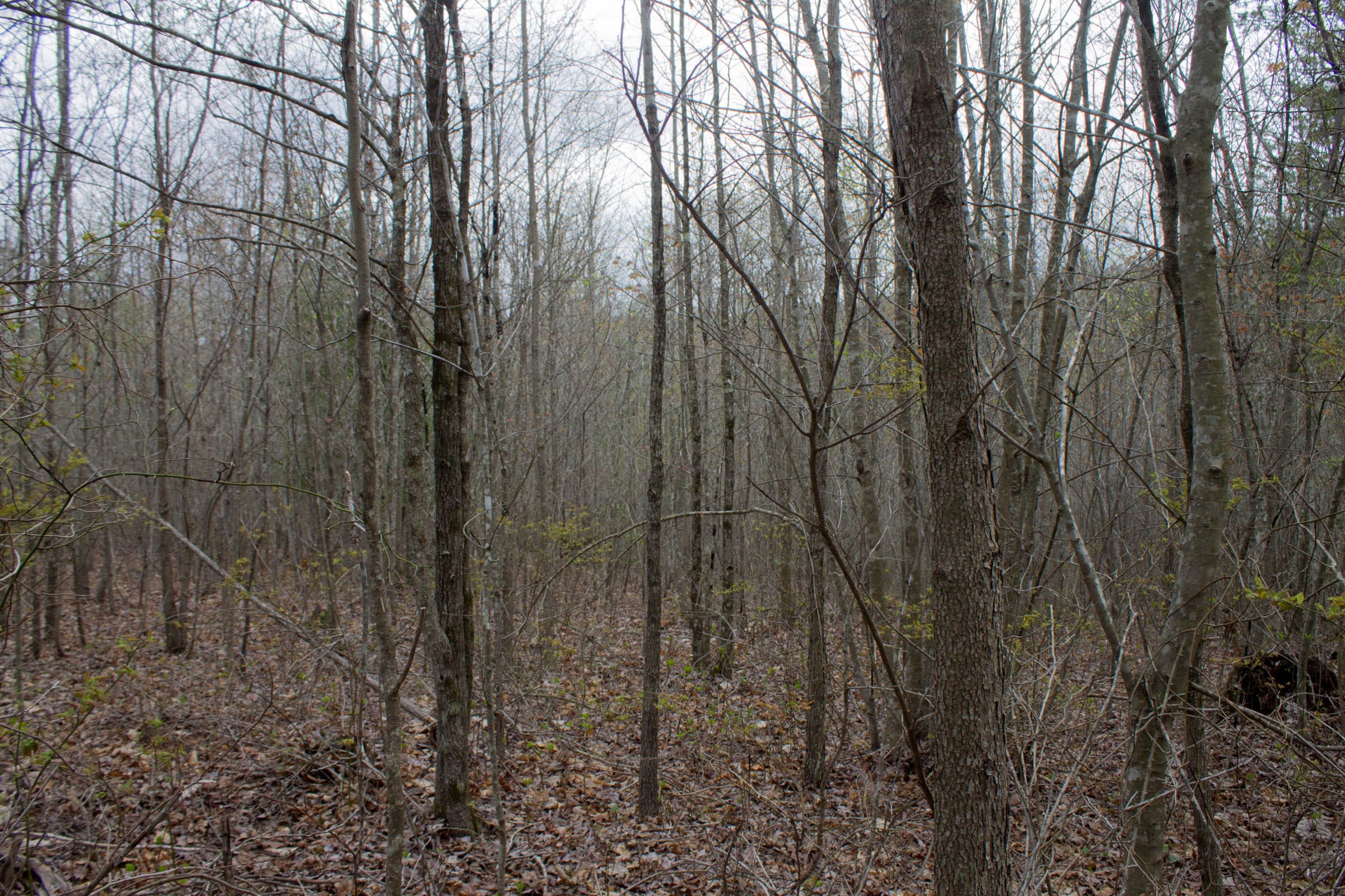 Hidden Hills Tract 13 photo 3