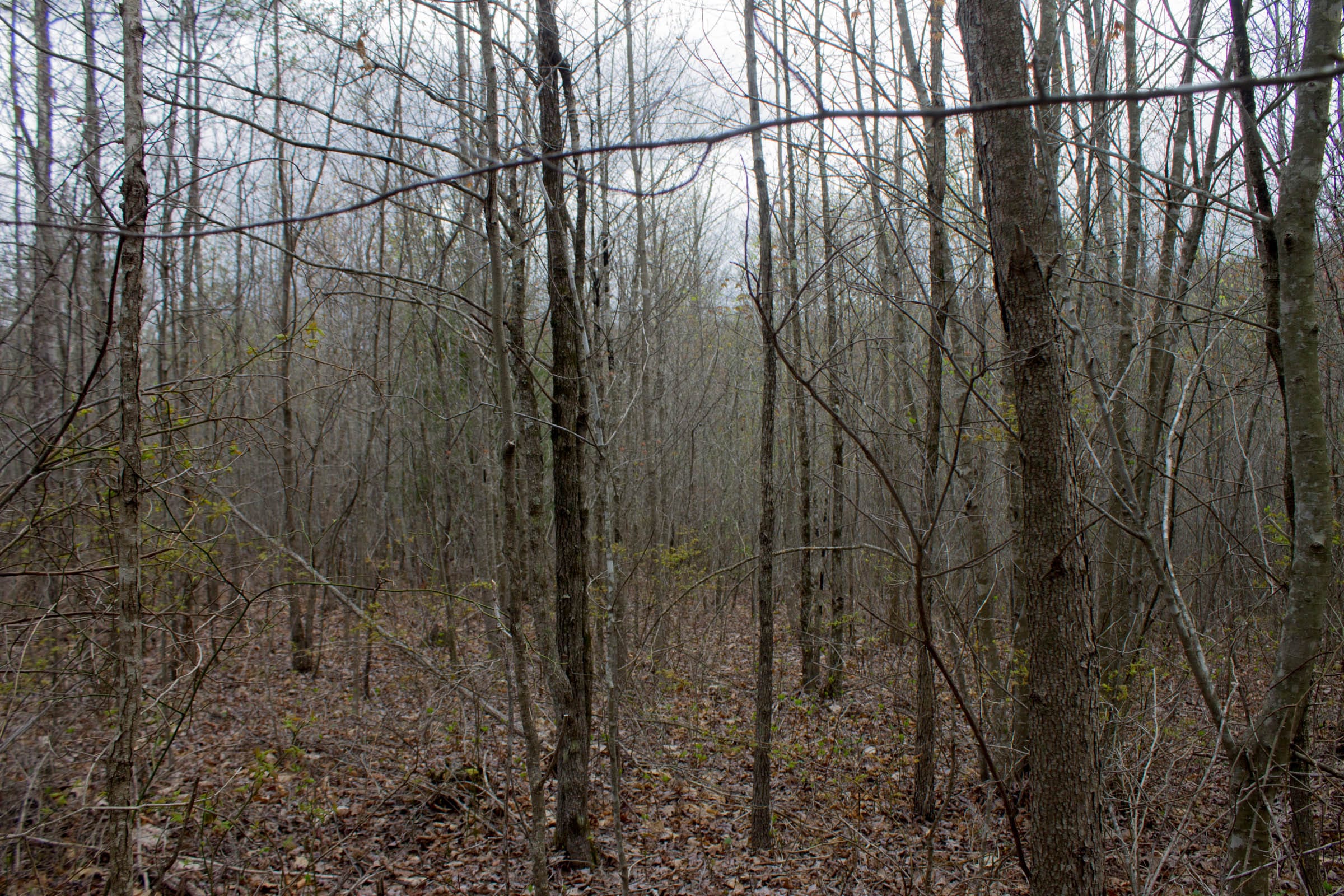 Hidden Hills Tract 13 photo 4