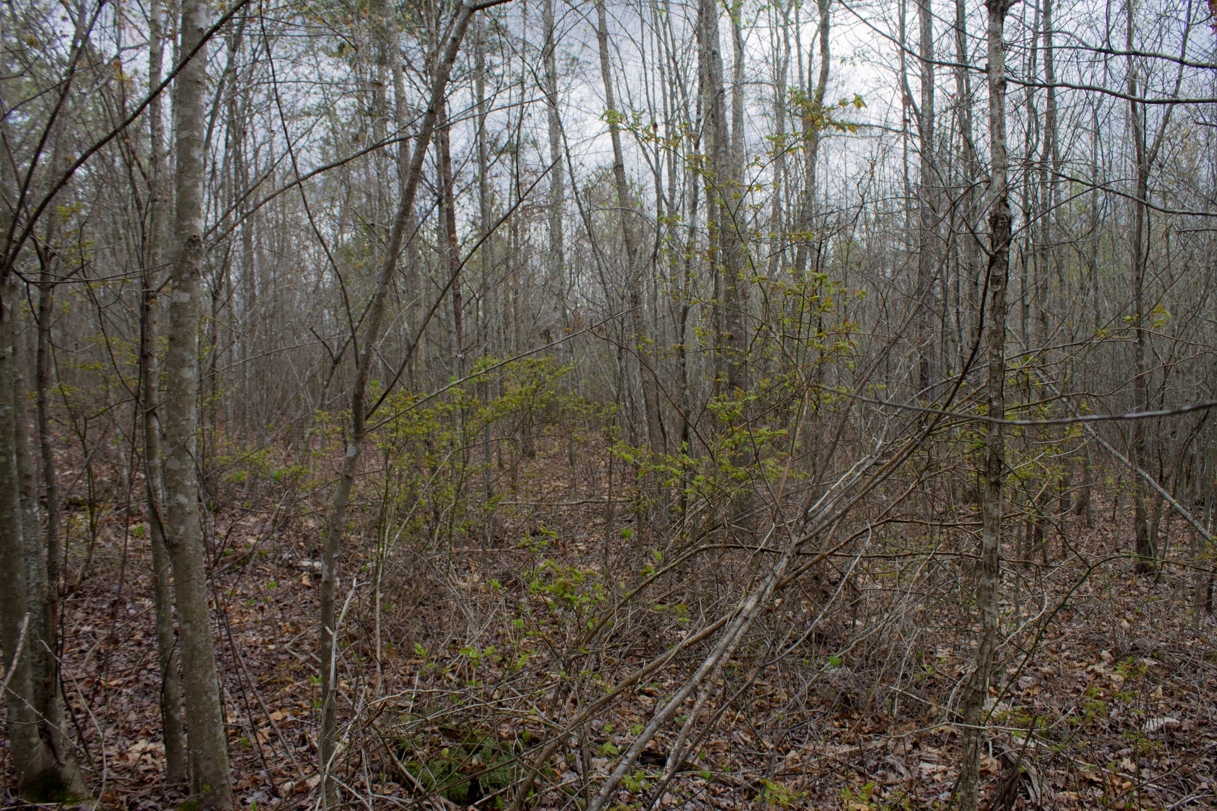 Hidden Hills Tract 13 photo 5