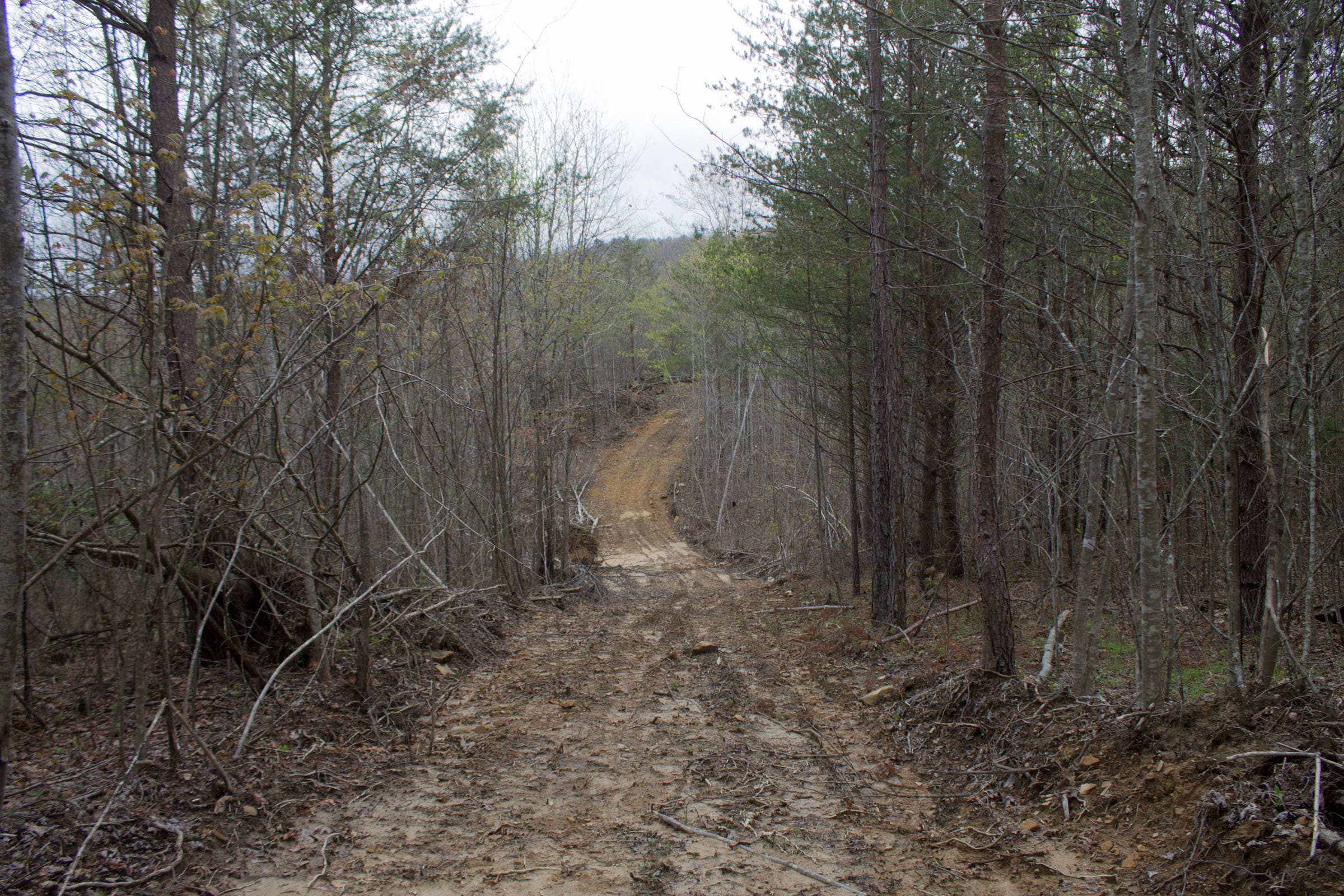 Hidden Hills Tract 13 photo 1
