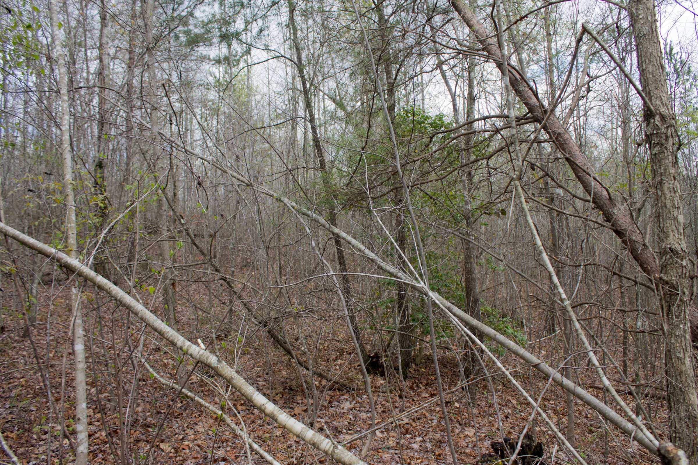 Hidden Hills Tract 13 photo 6