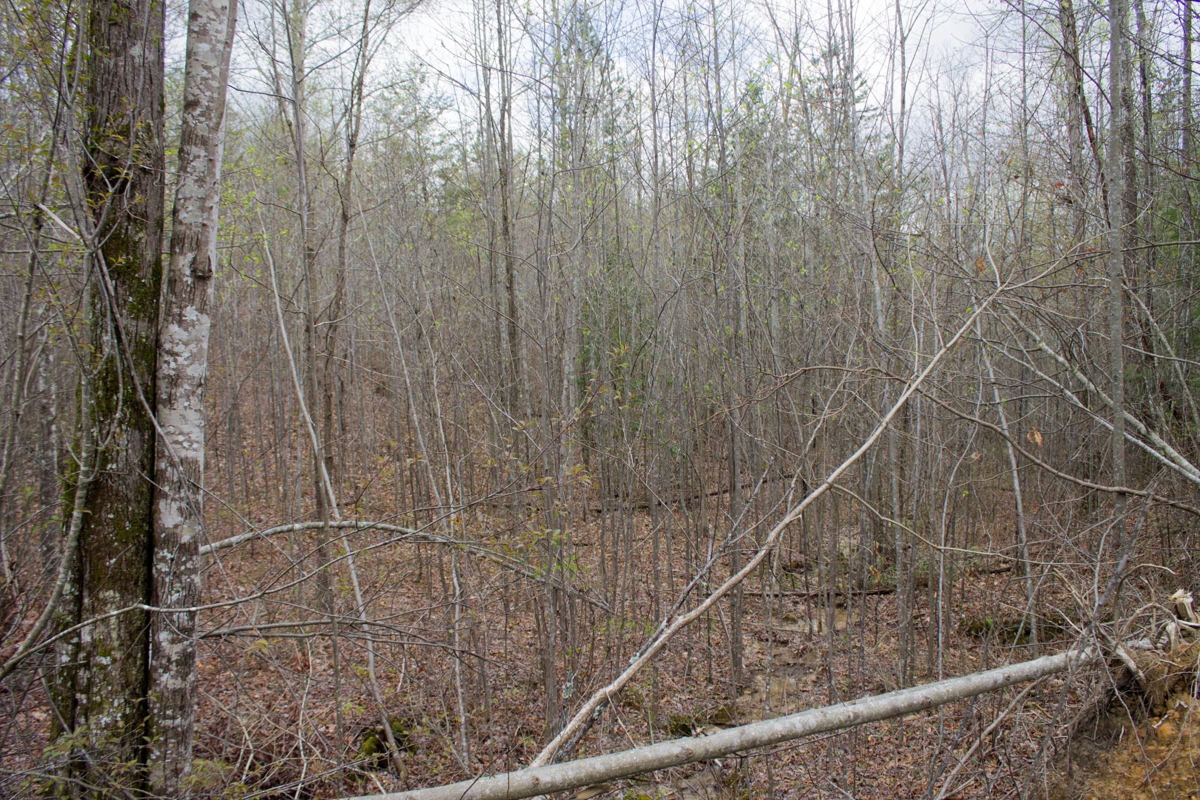 Hidden Hills Tract 13 photo 8