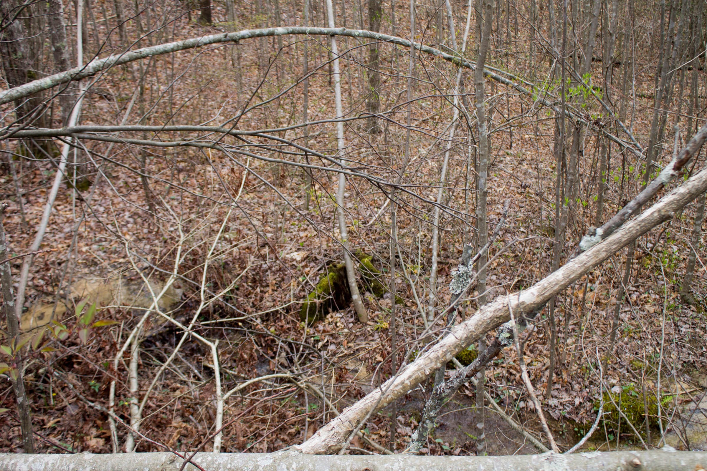 Hidden Hills Tract 13 photo 9