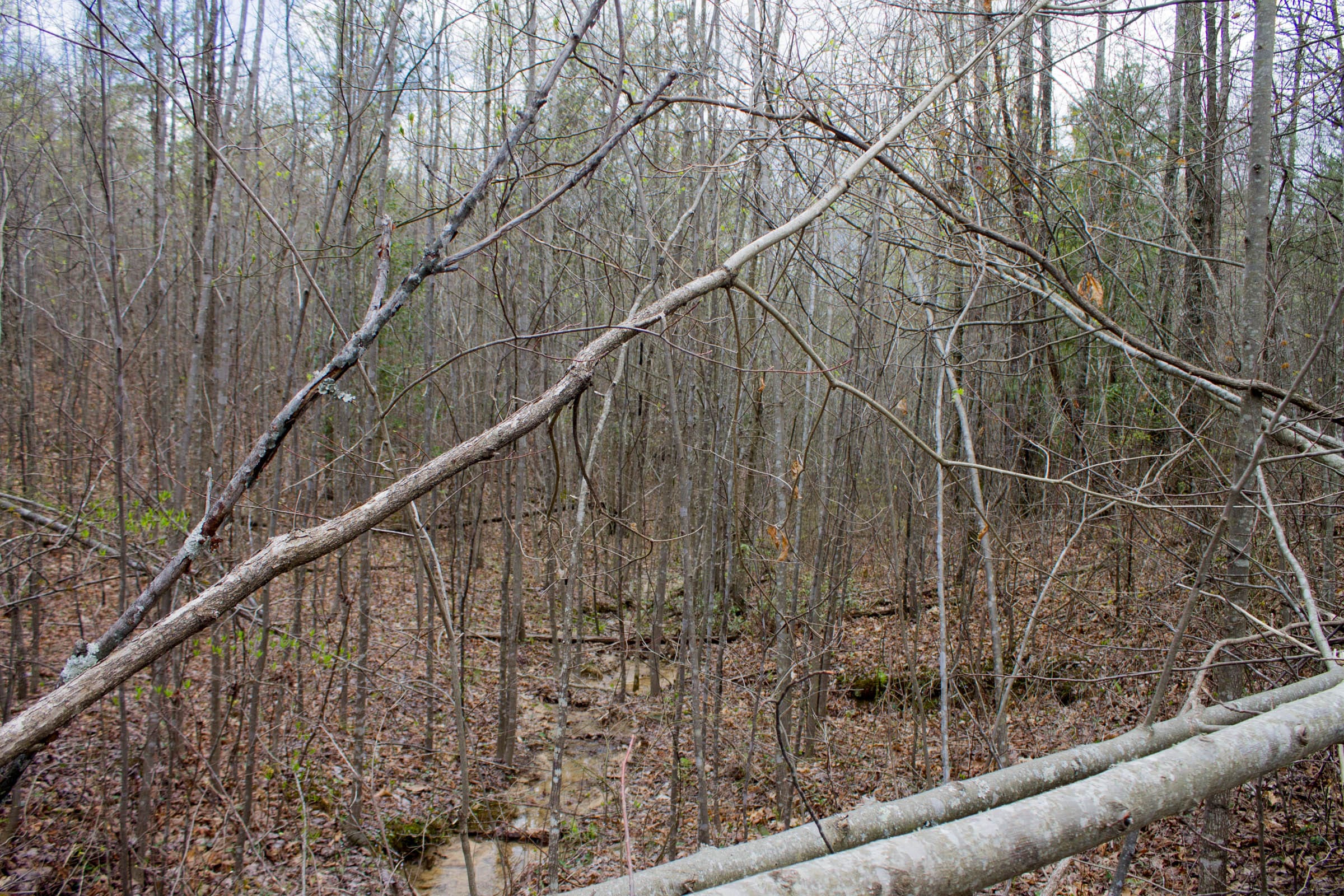 Hidden Hills Tract 13 photo 10