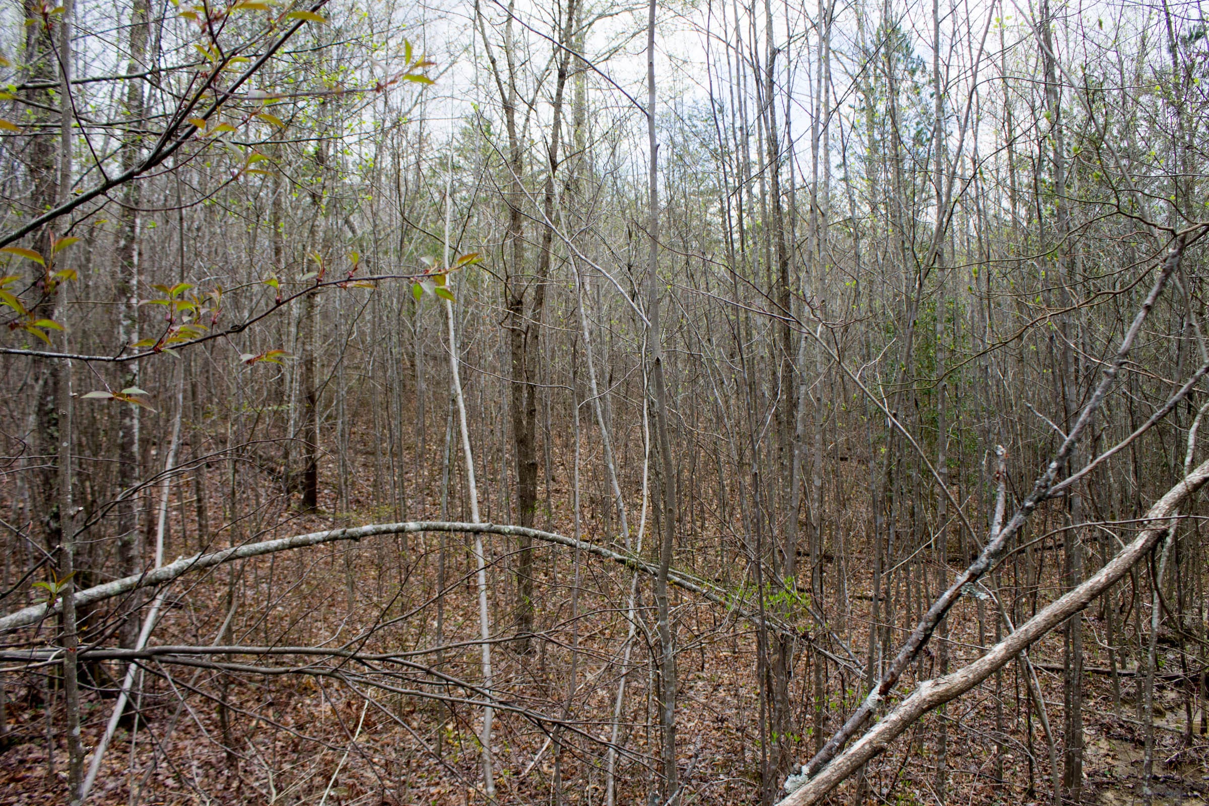 Hidden Hills Tract 13 photo 11