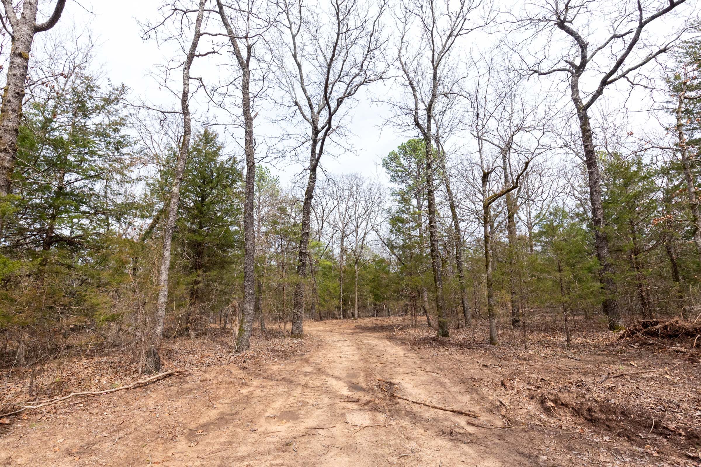 Stone Bridge Phase III Tract 151 photo 7