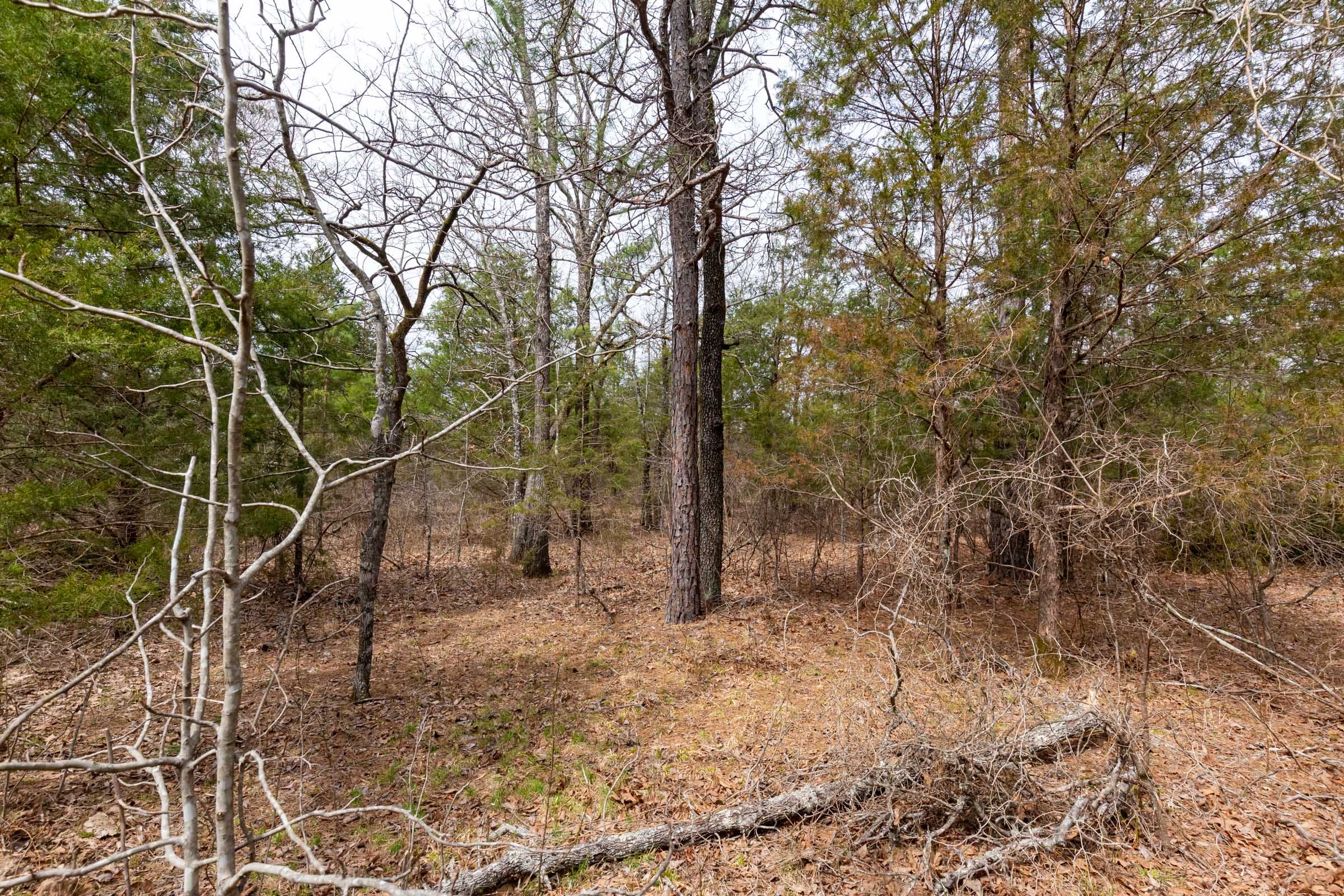 Stone Bridge Phase III Tract 151 photo 10