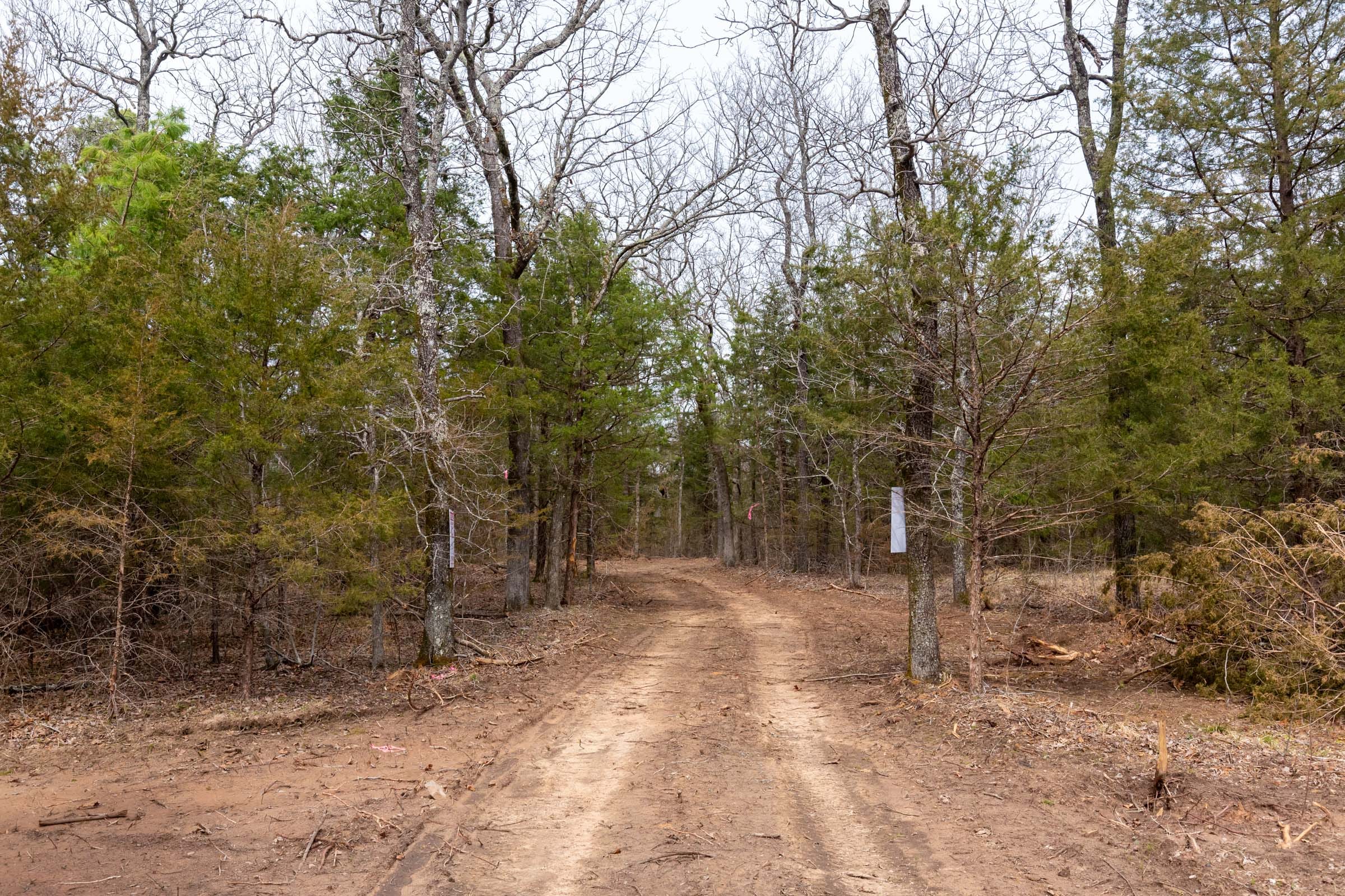 Stone Bridge Phase III Tract 151 photo 2