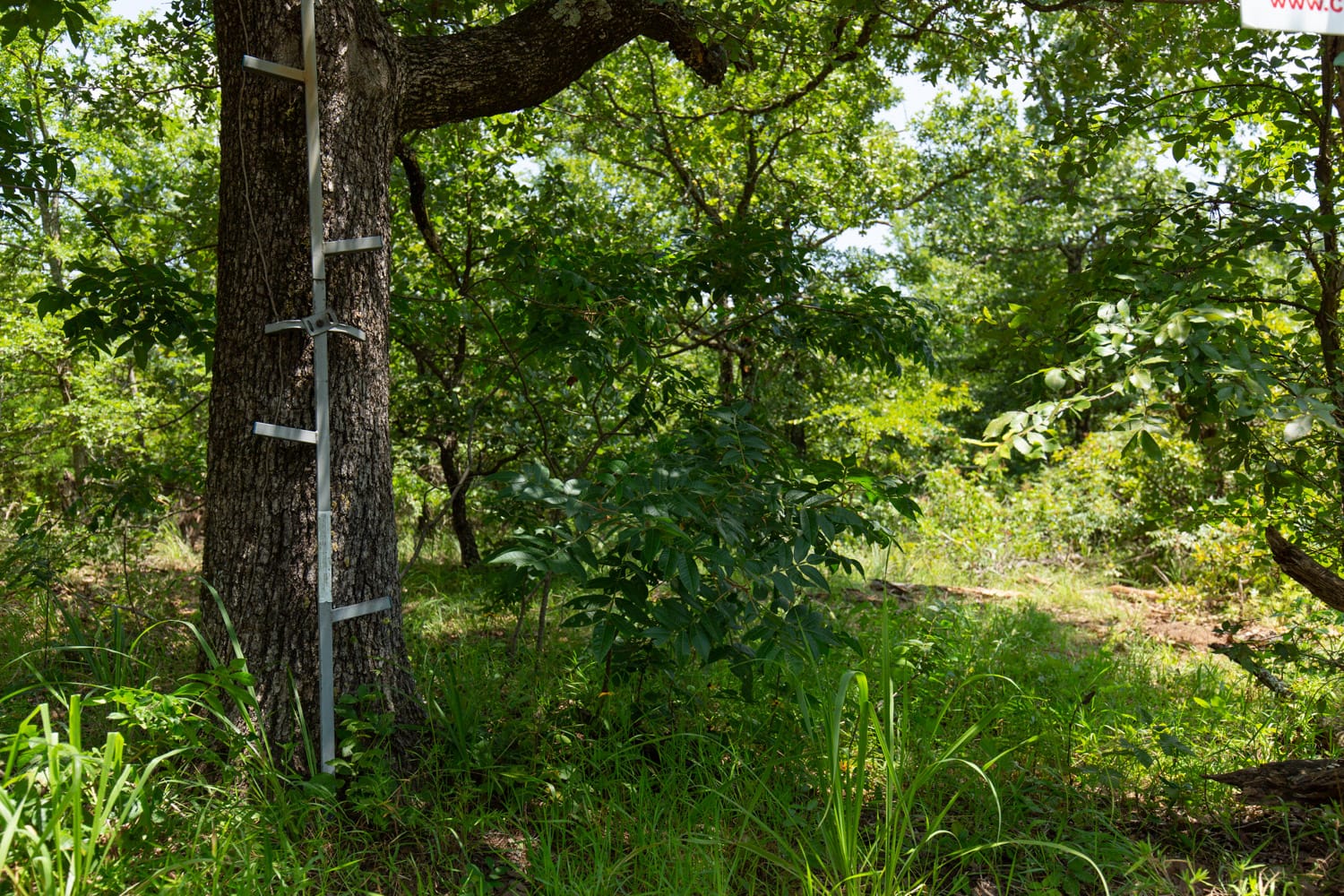 Timber Ridge Tract 63 photo 1