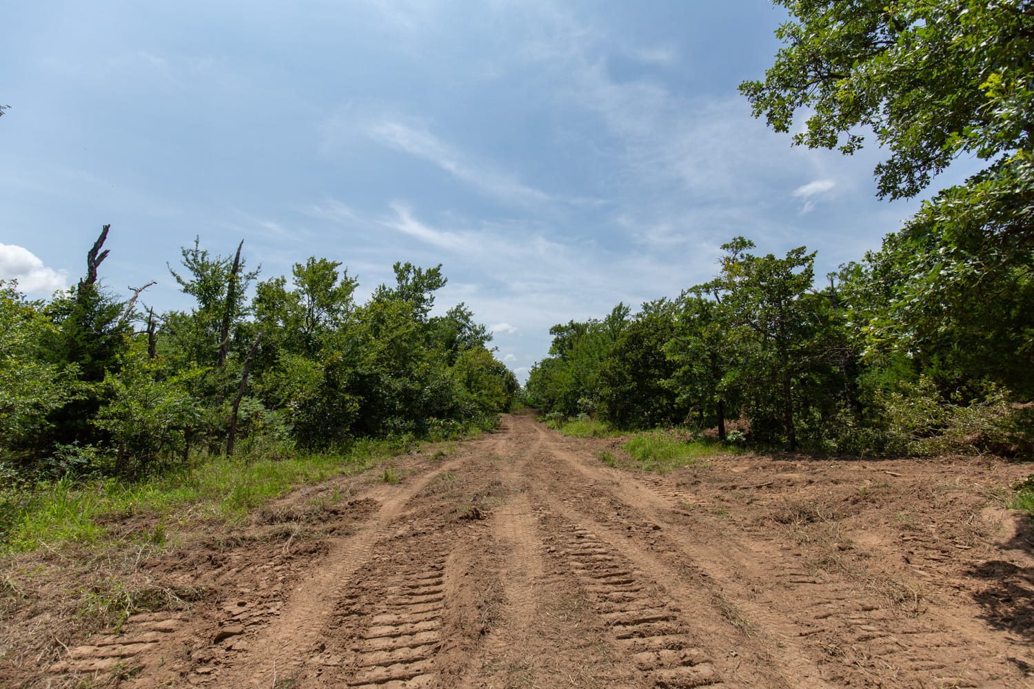 Timber Ridge Tract 63 photo 5
