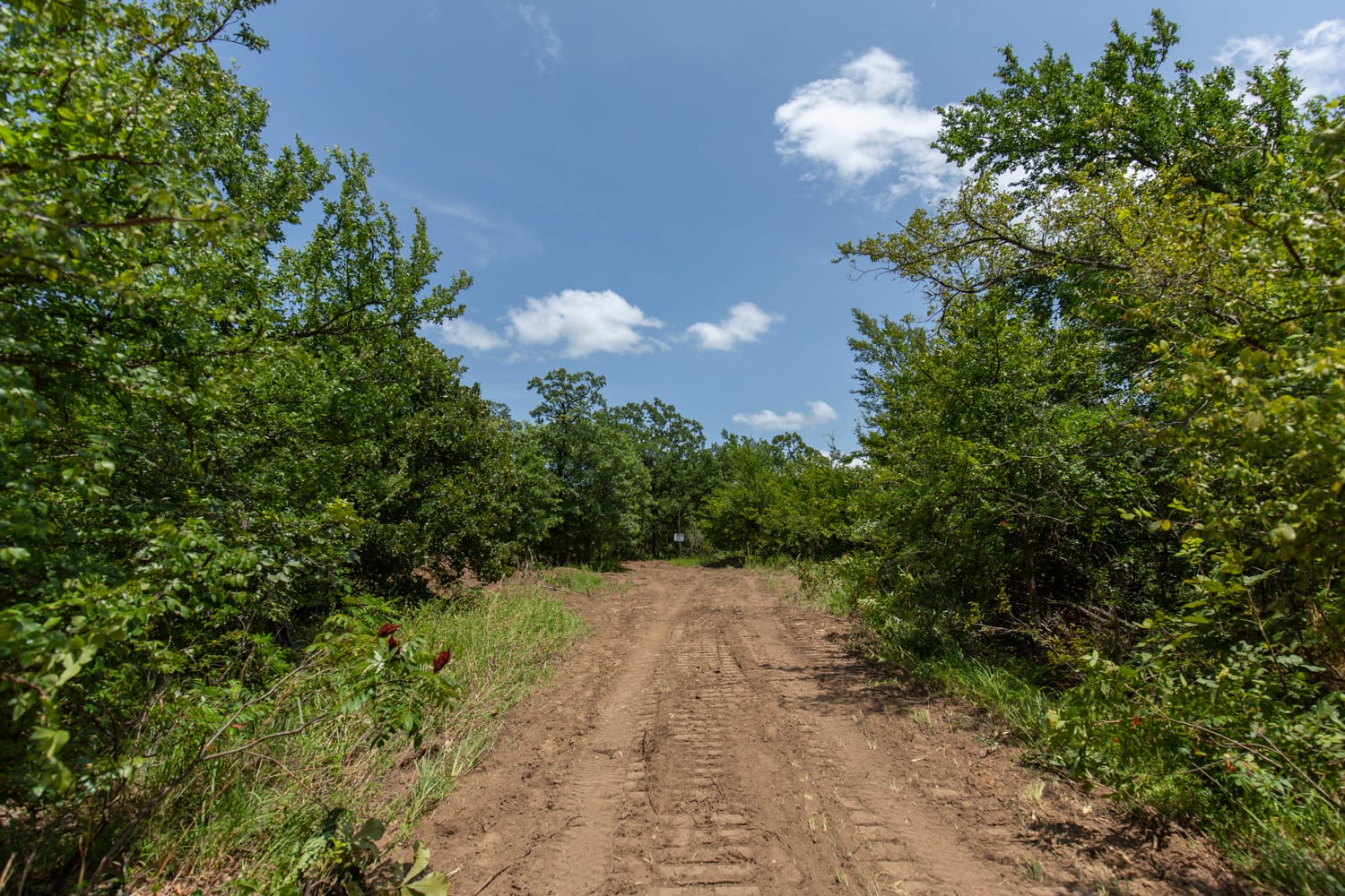 Timber Ridge Tract 63 photo 7
