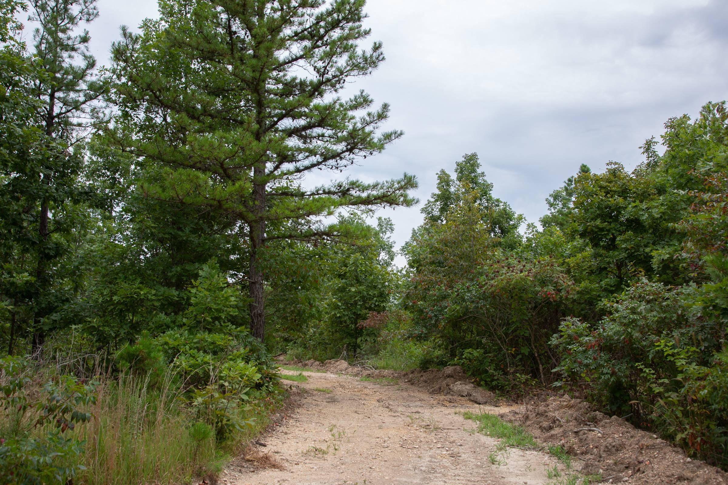 Borgmann’s Hollow Phase I Tract 25 photo 8