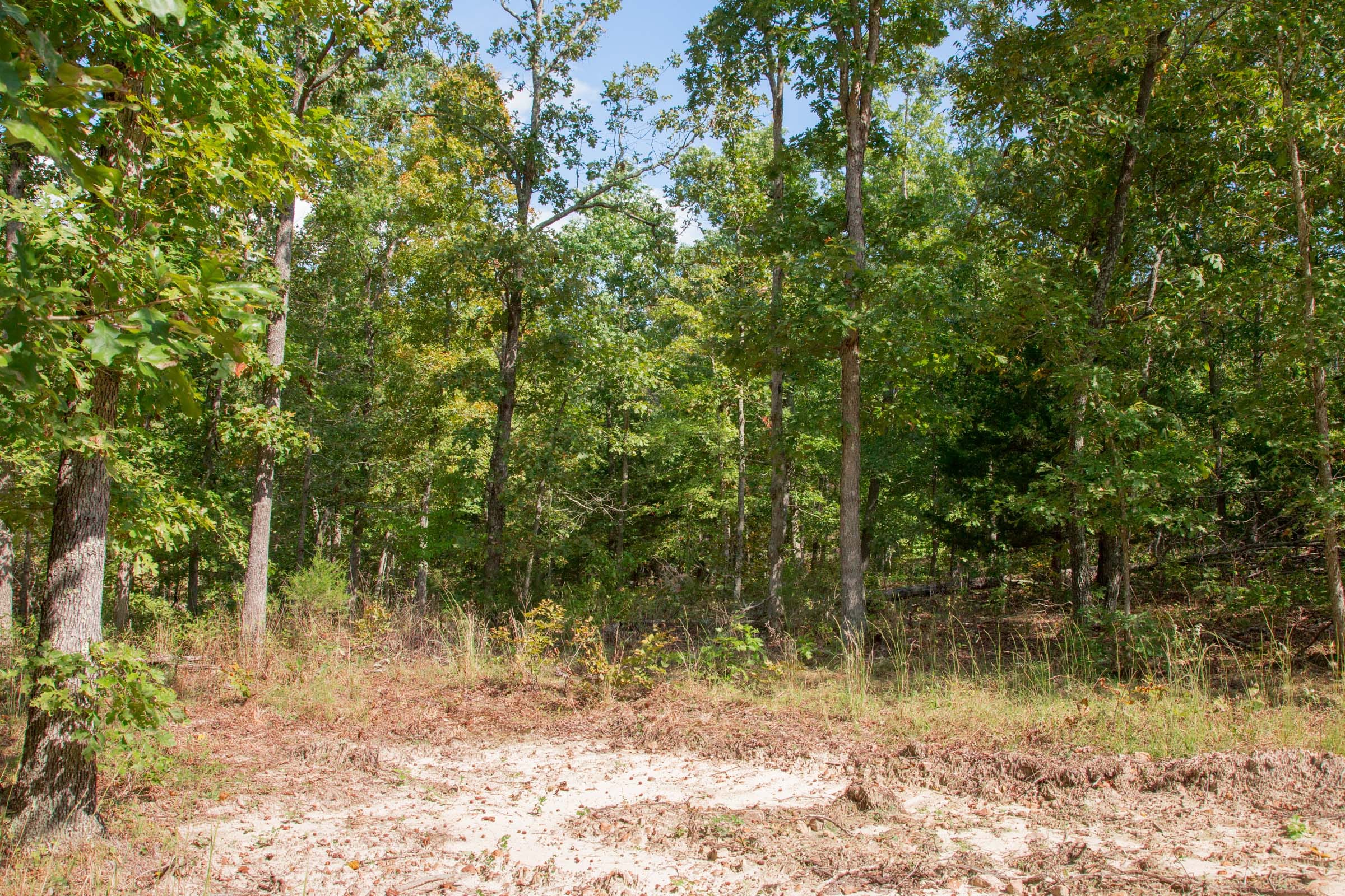 Wagon Wheel Ranch Tract 39 photo 8