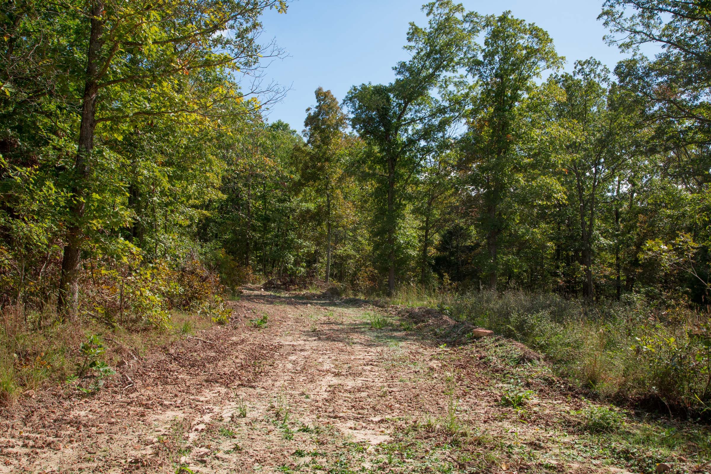 Wagon Wheel Ranch Tract 39 photo 11