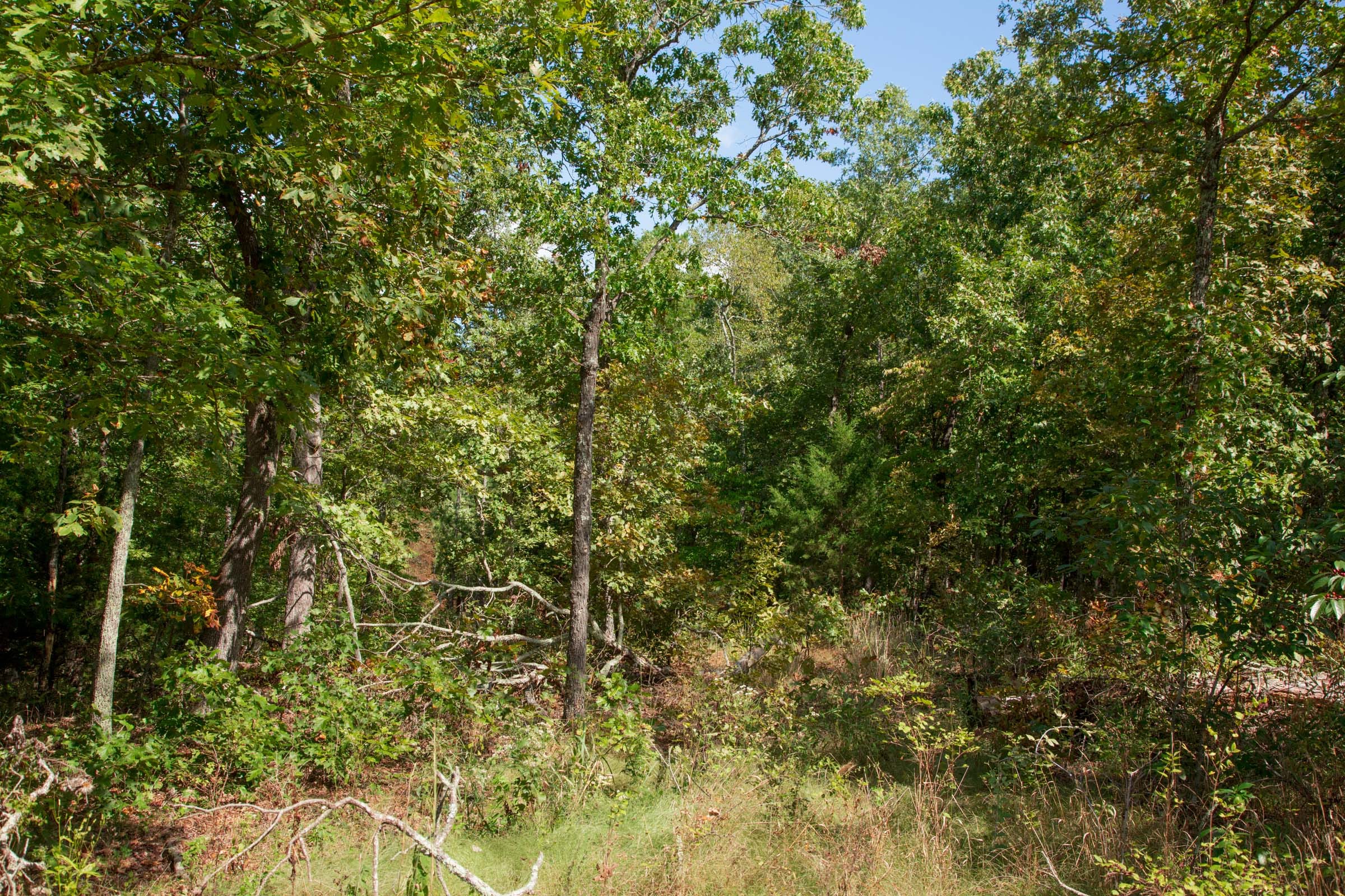 Wagon Wheel Ranch Tract 39 photo 9
