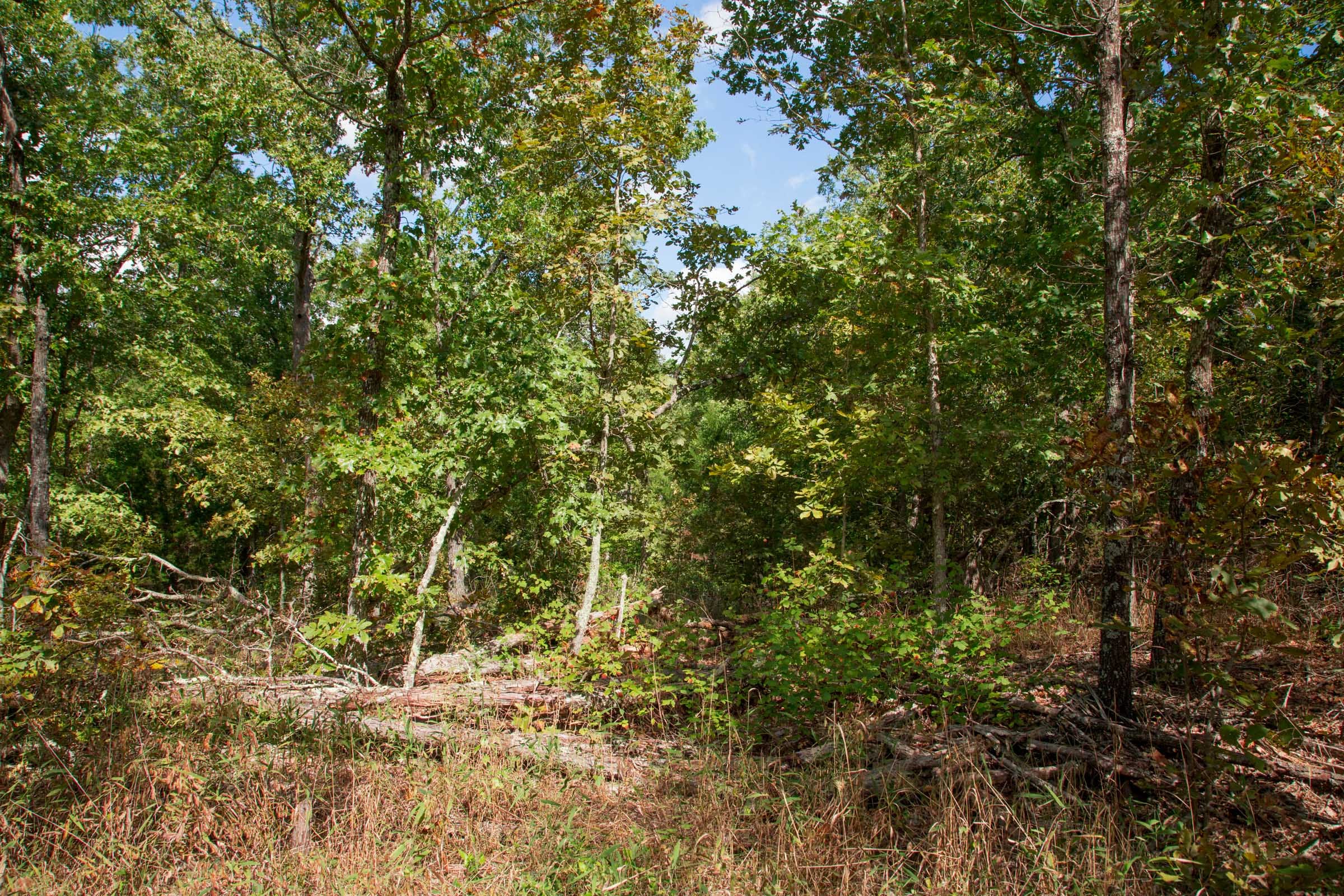 Wagon Wheel Ranch Tract 39 photo 10