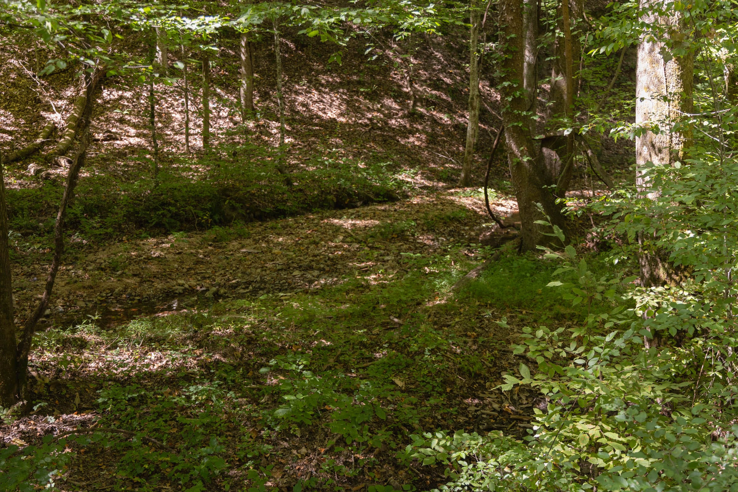 Big White Oak Tract 21 photo 2