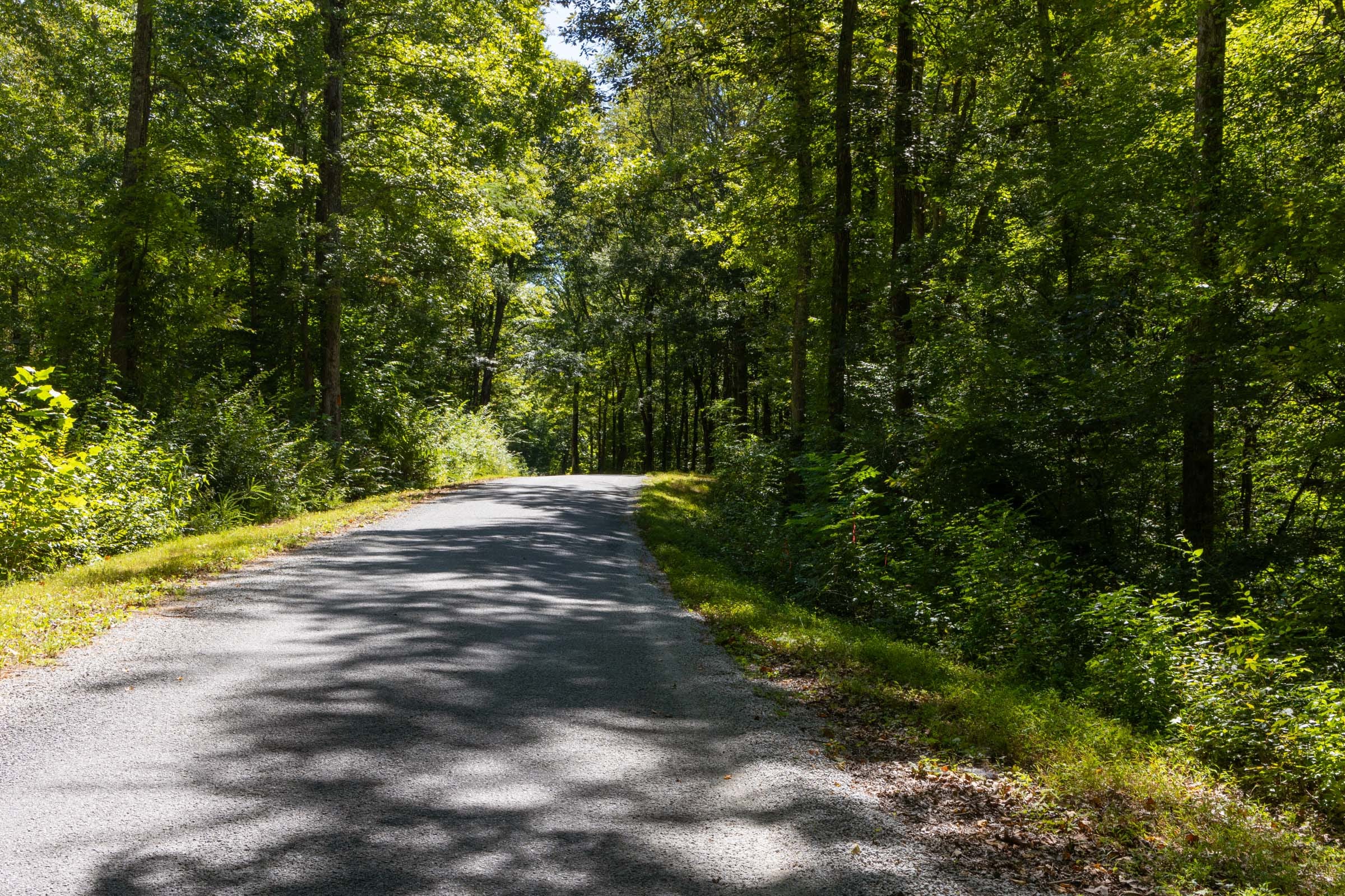 Big White Oak Tract 21 photo 6